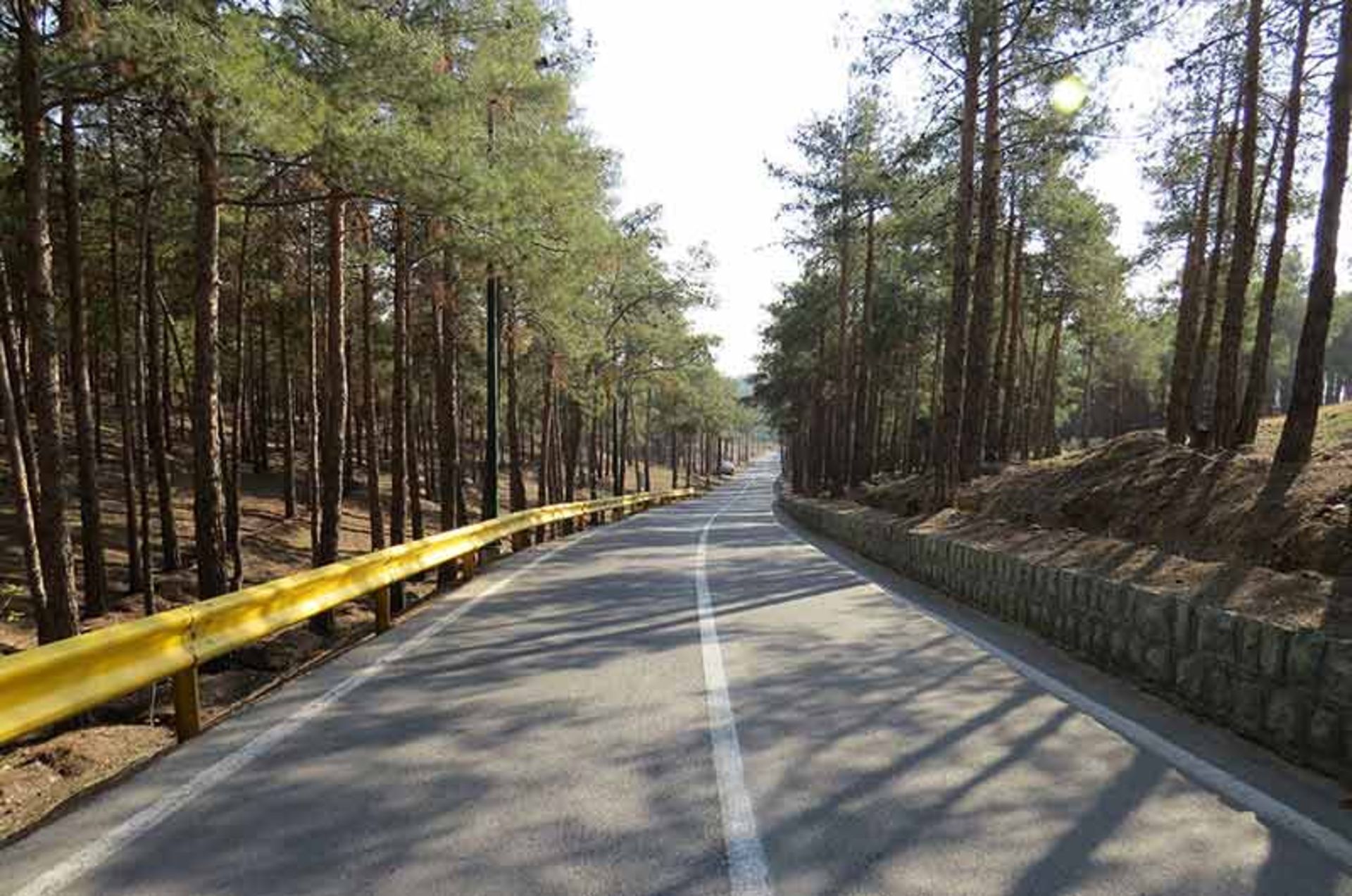 پارک چیتگر تهران