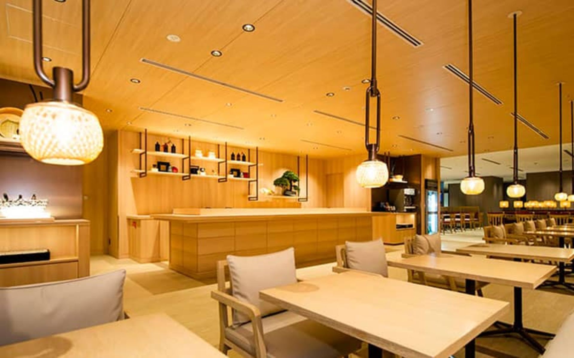 خطوط هوایی ژاپن