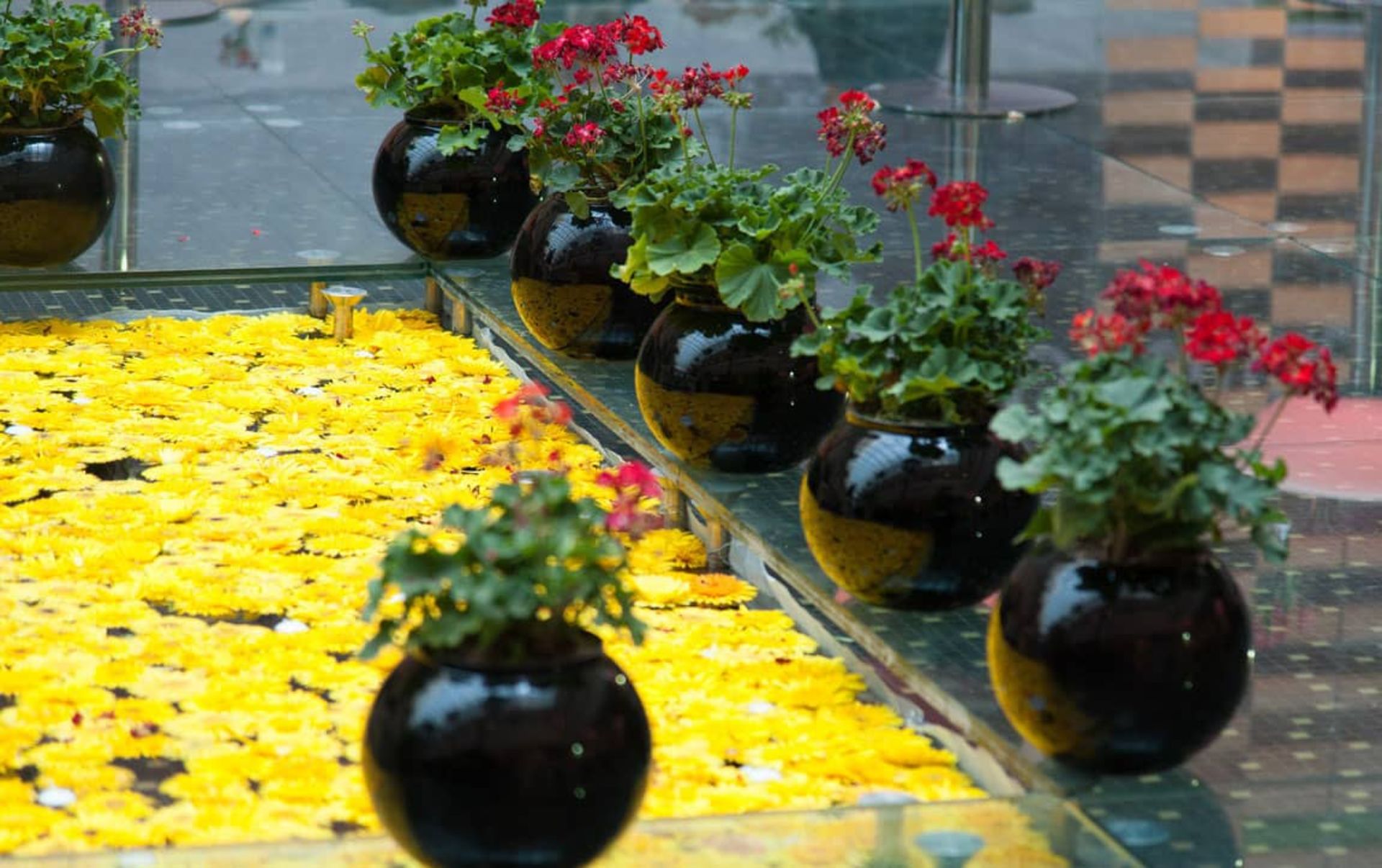 باغ دیدار ایران مال