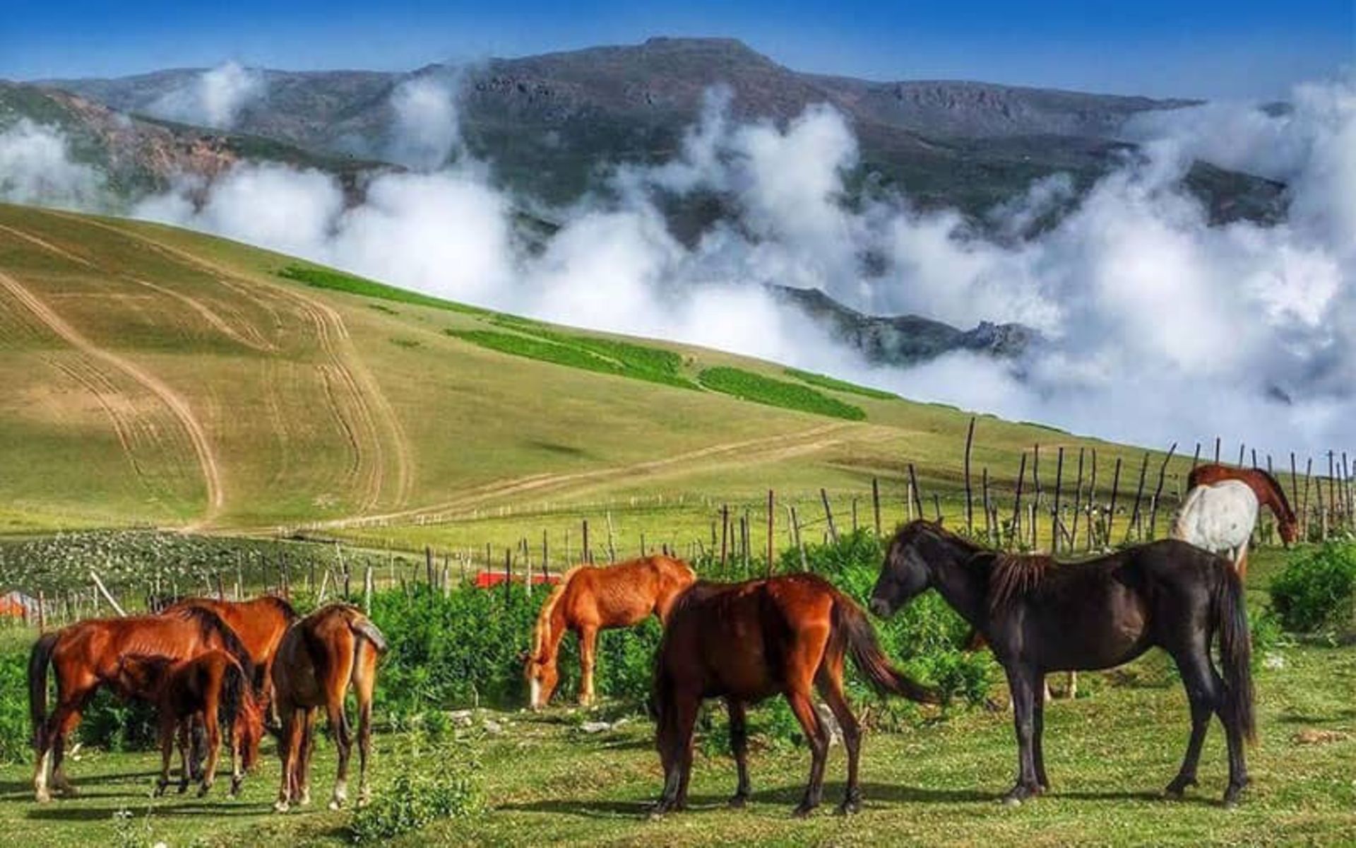 ییلاق سوباتان کجاست