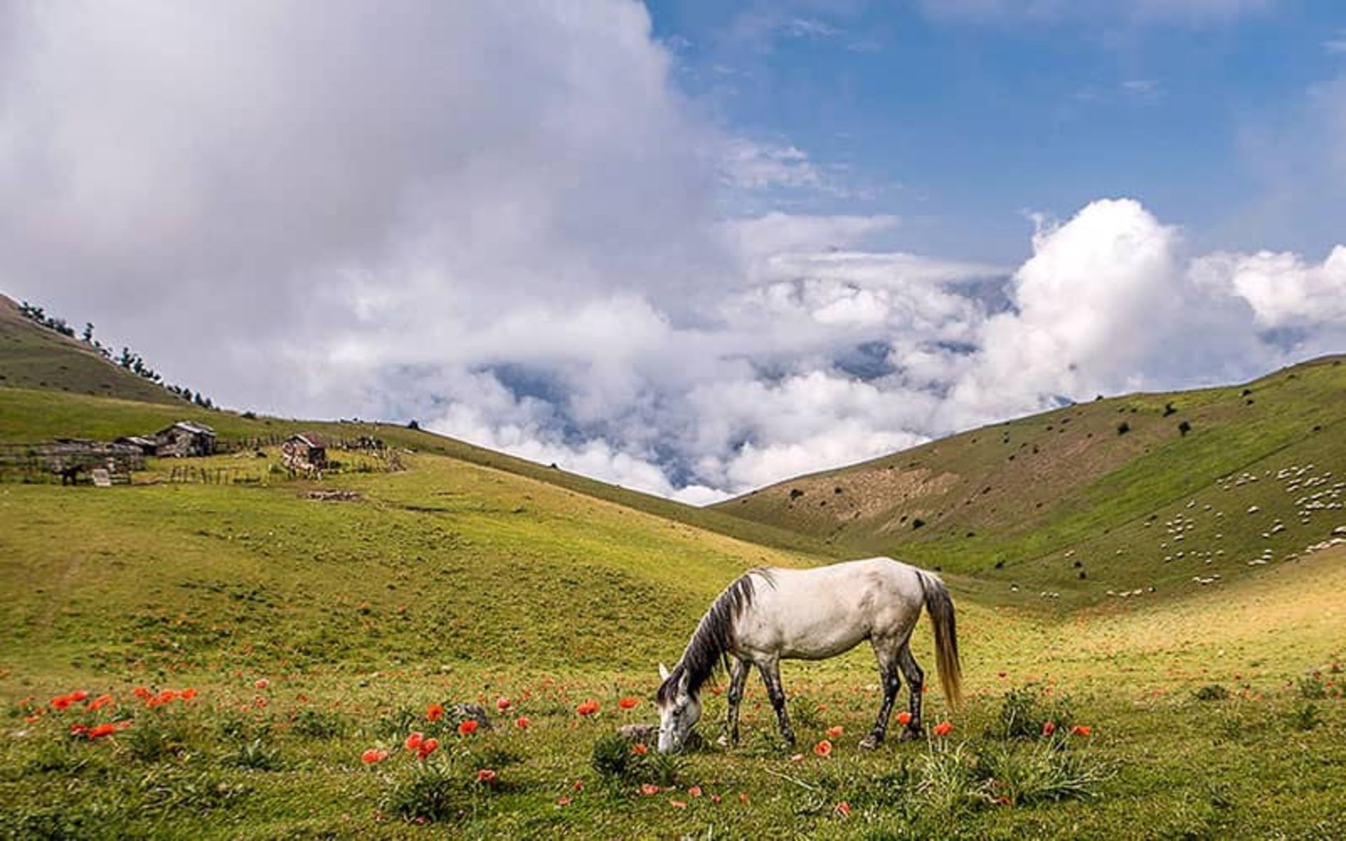 سفر به ییلاق سوباتان