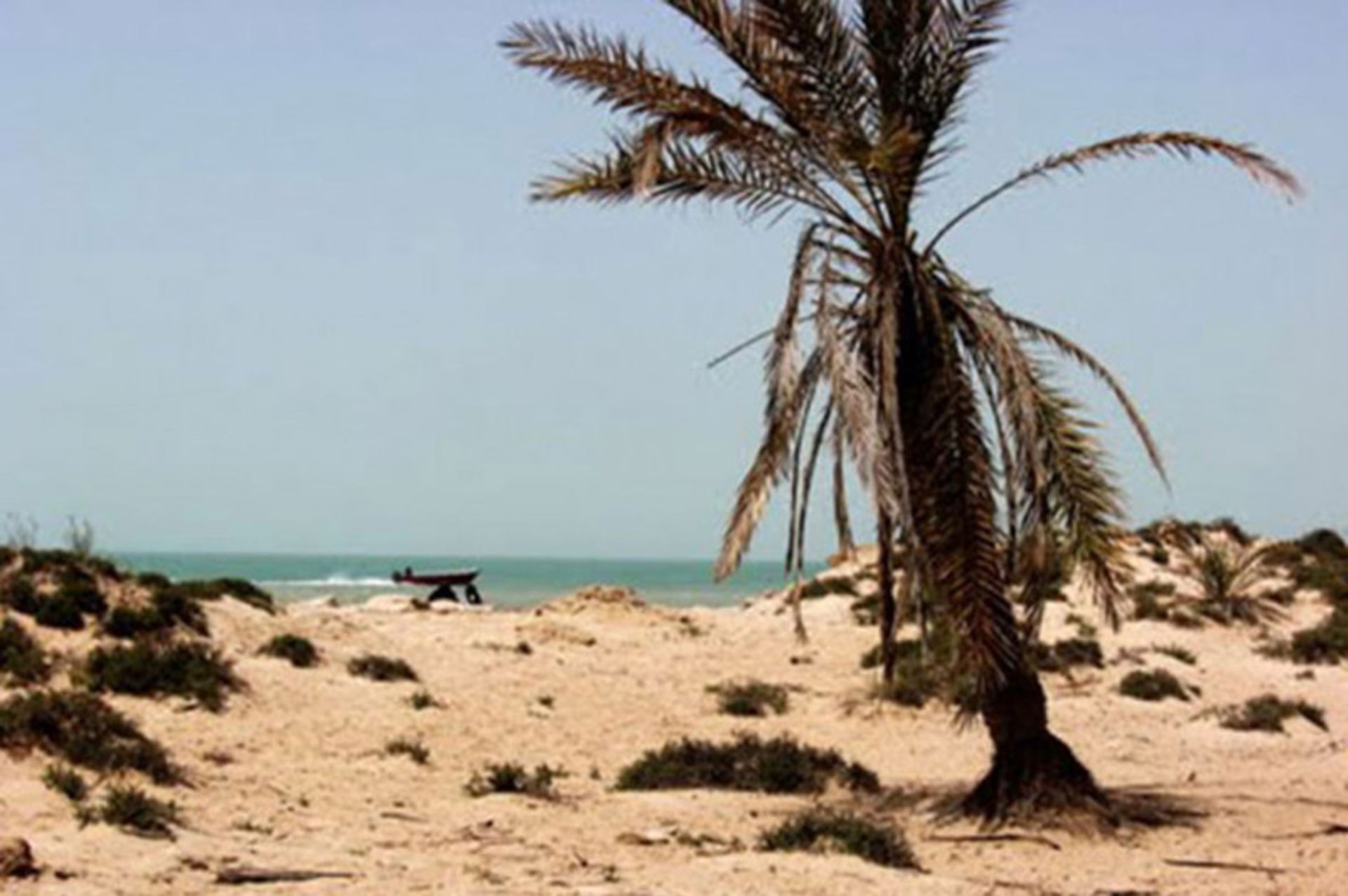 جزیره میرمهنا