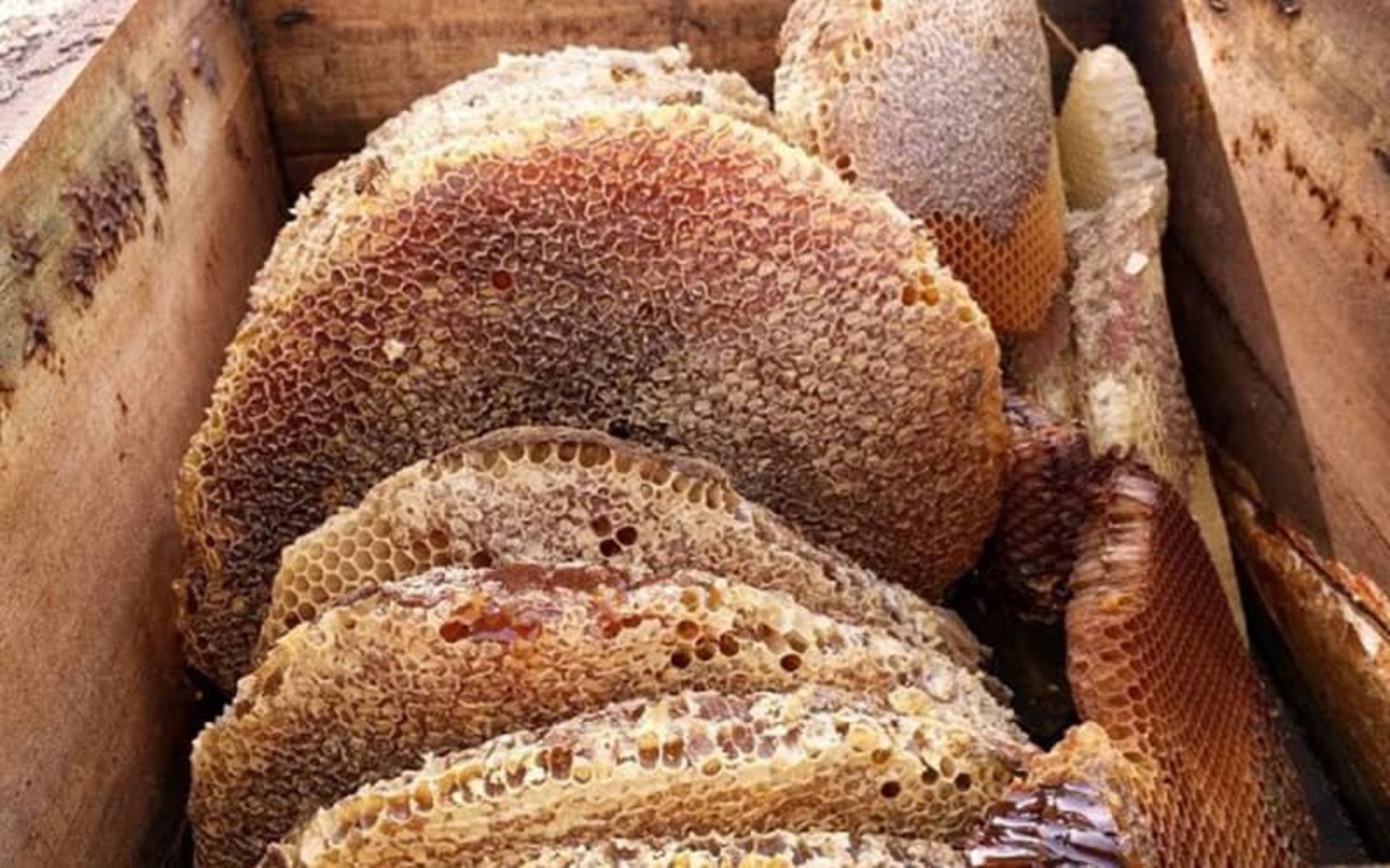 سوغات سردشت