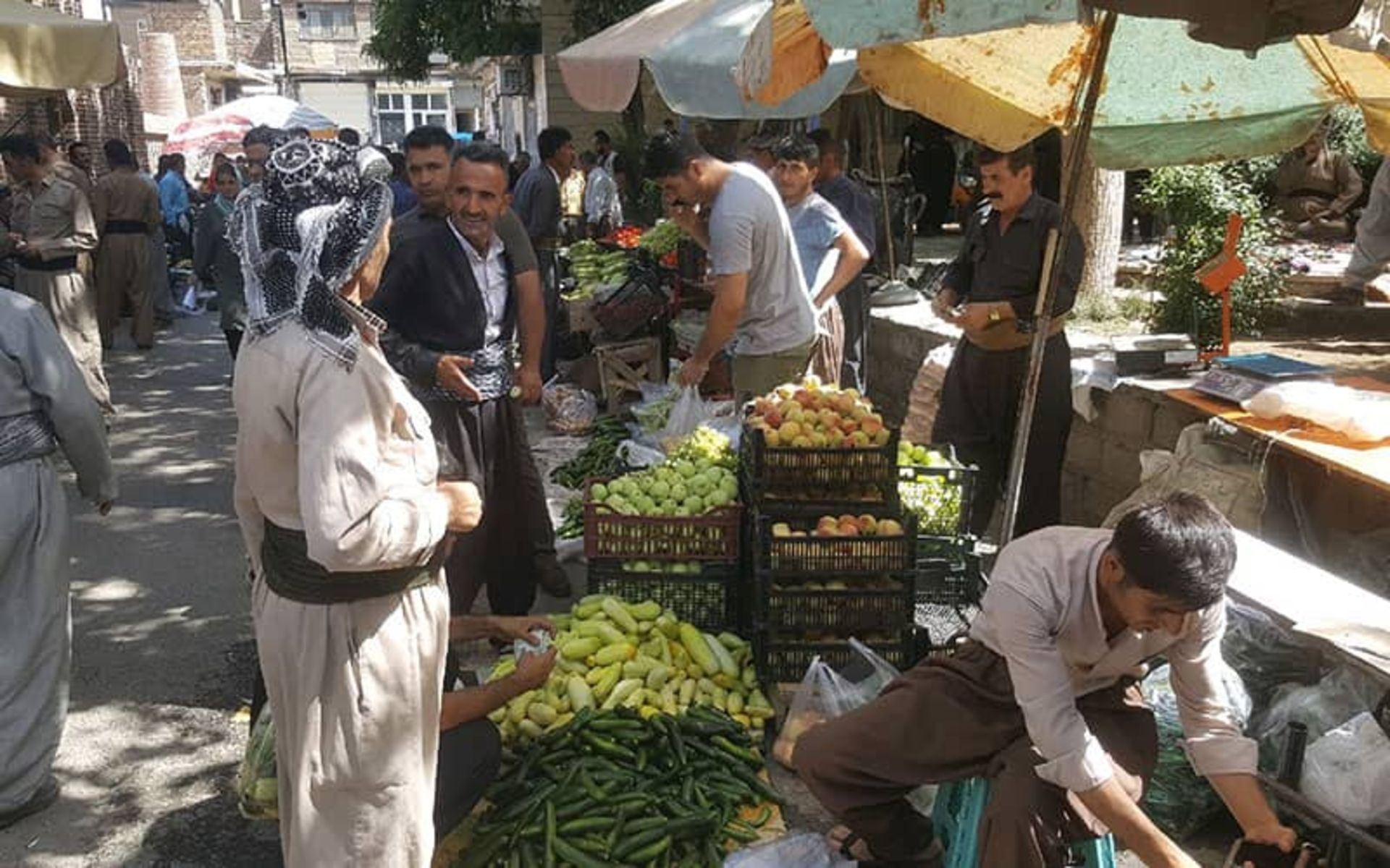 بازارهای سردشت