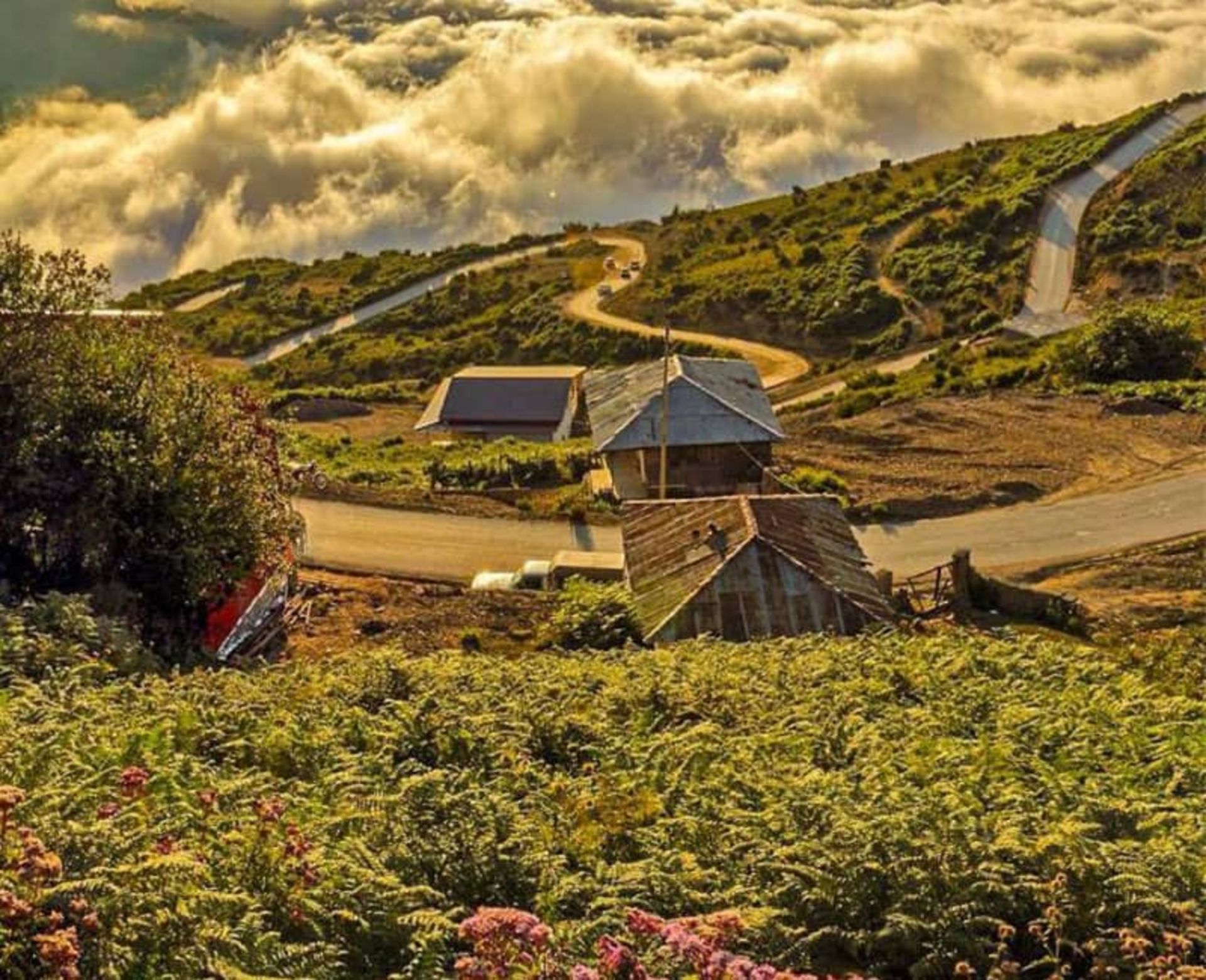 فیلبند بابل