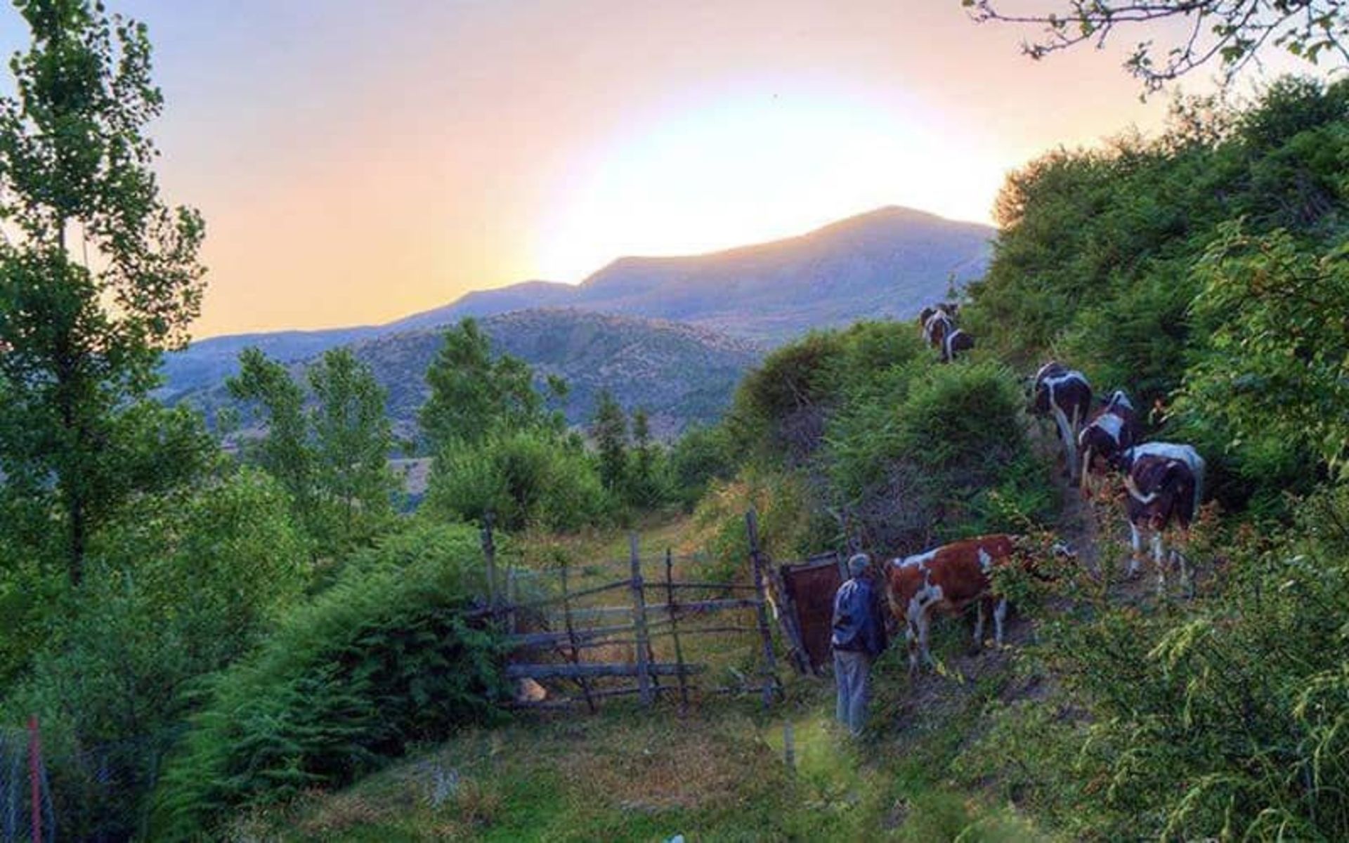 روستای داماش رودبار