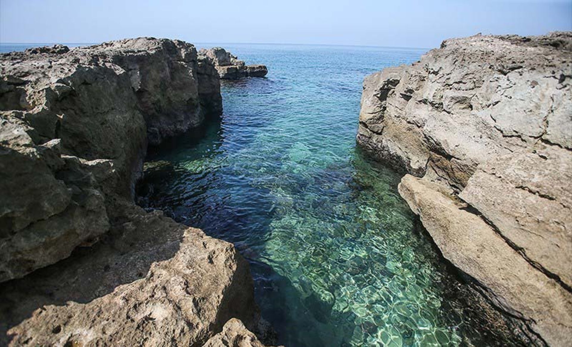 فارور بزرگ