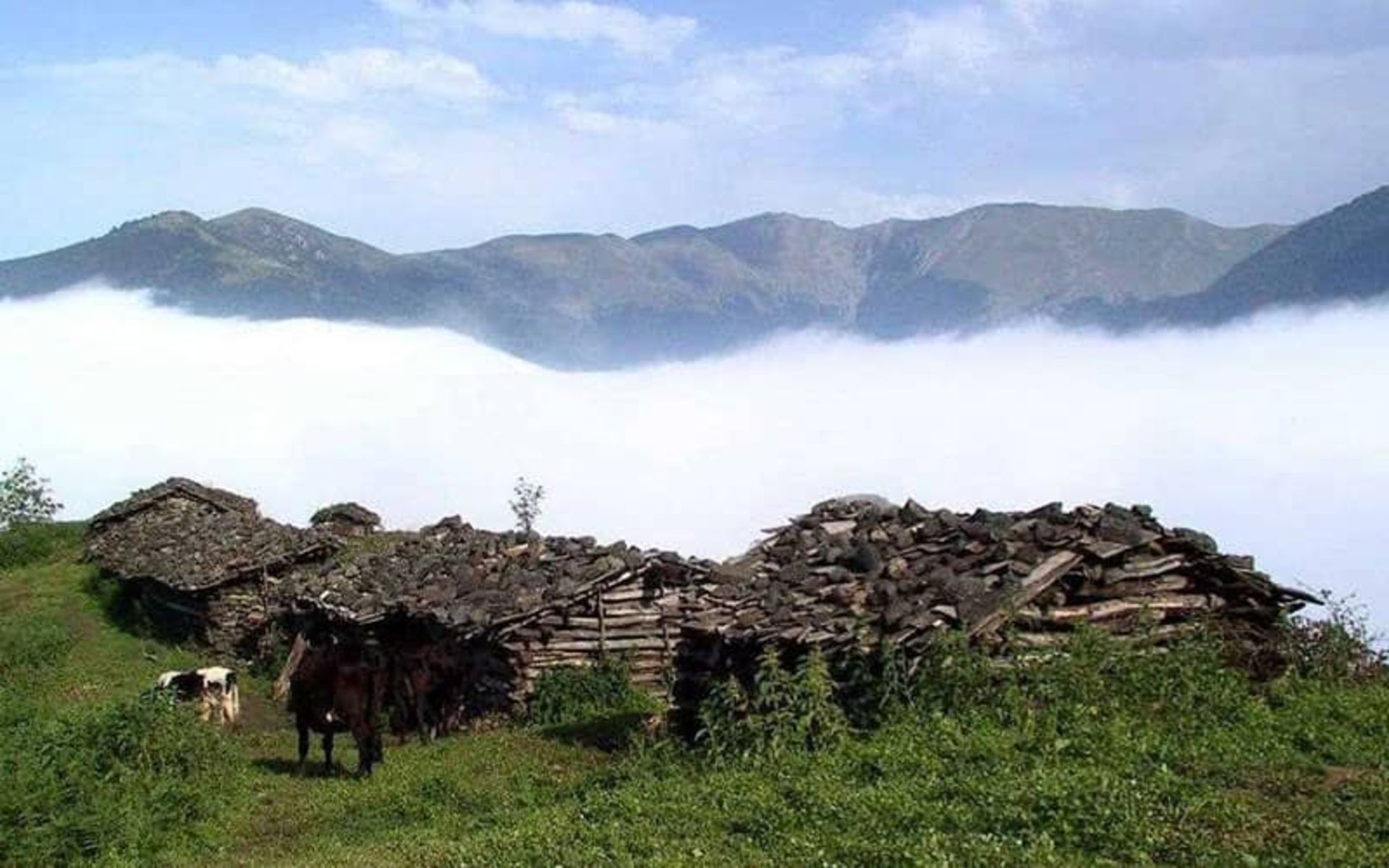 جواهردشت رودسر