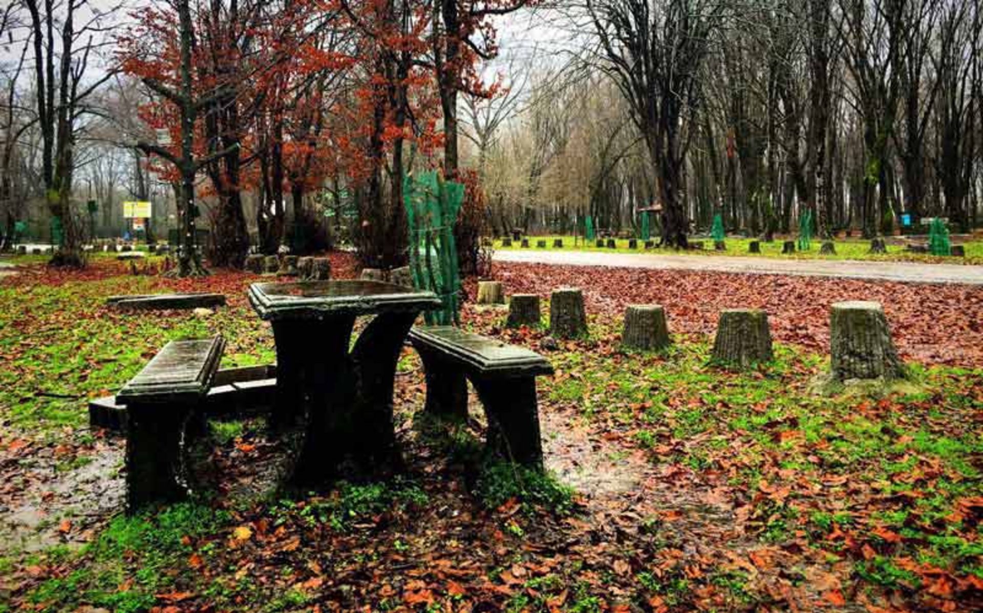 پارک سی‌سنگان