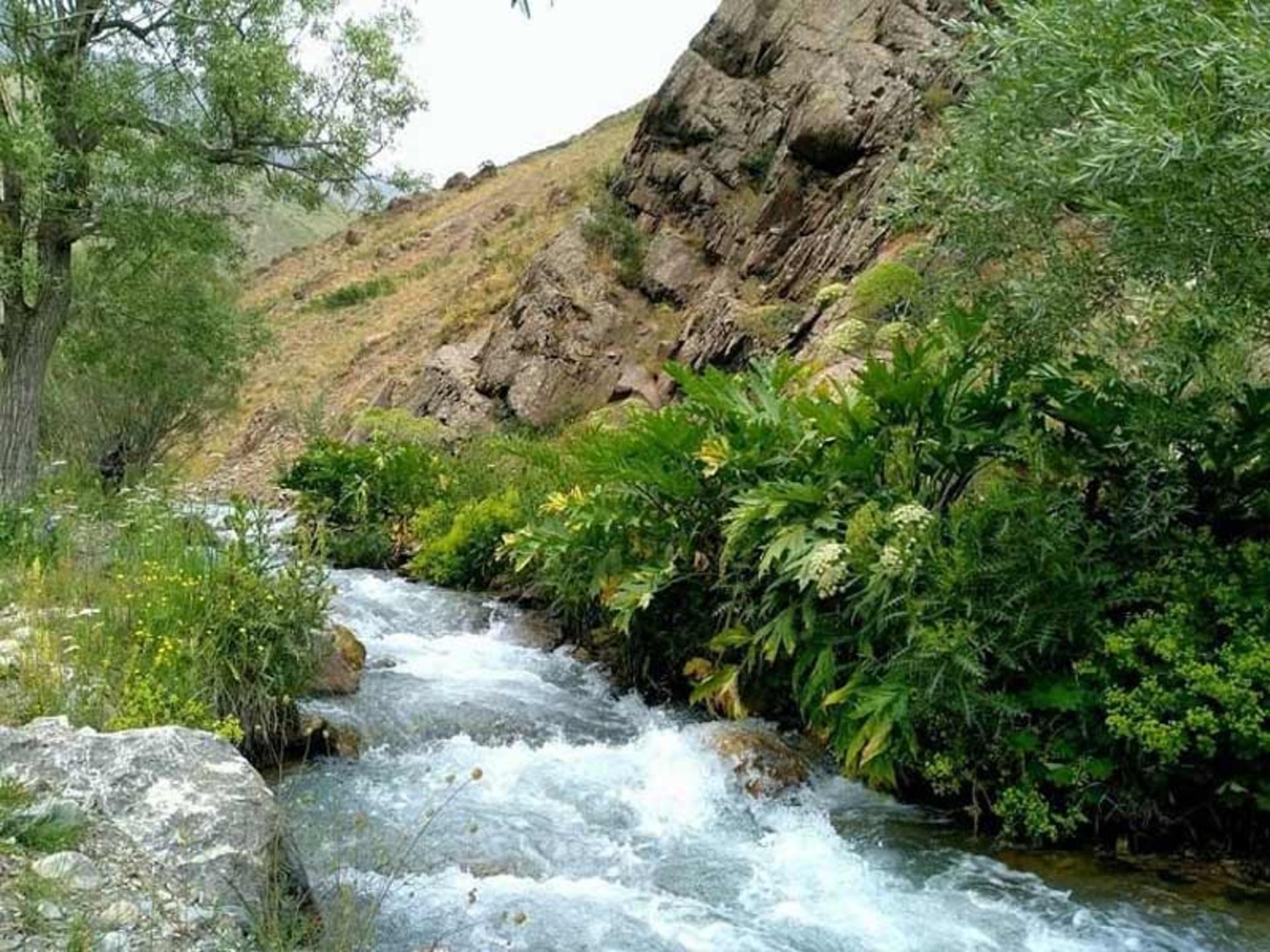 روستاد آبنیک