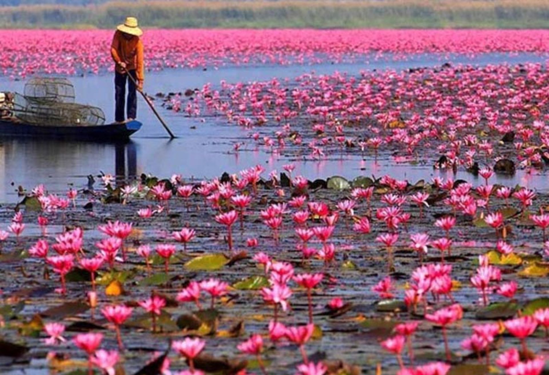 تالاب انزلی