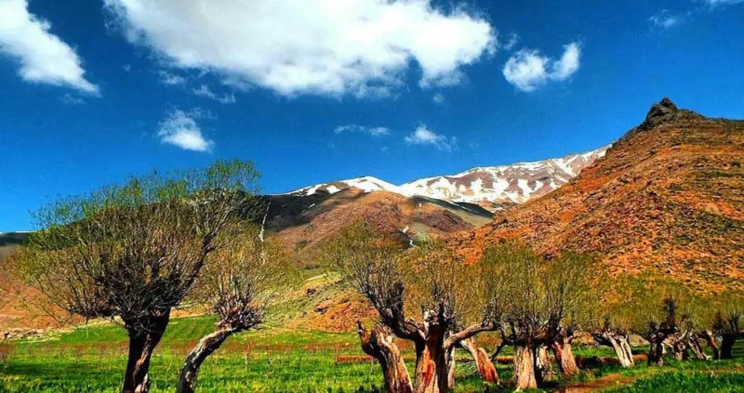 روستای افجه