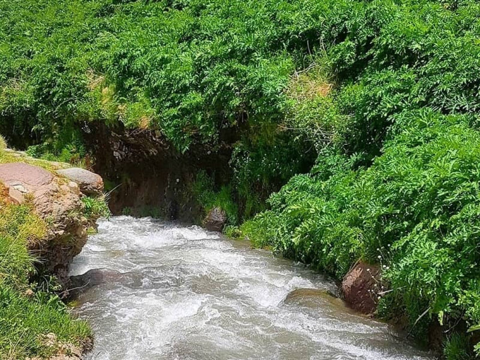 خیاوچای و جهنم دره سی سرسبز در بهار. عکس از lady.polaris