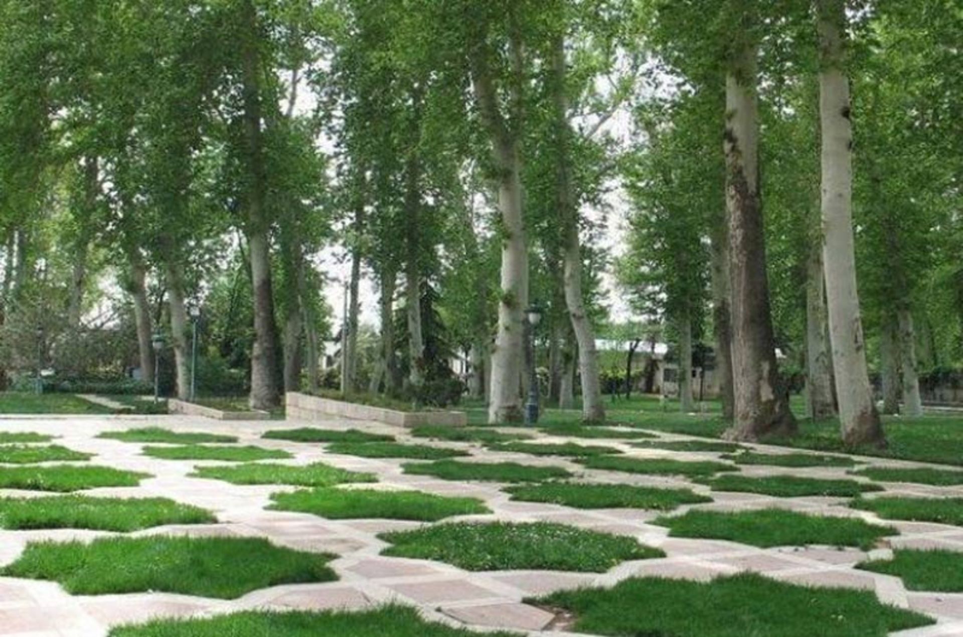 باغ نیاوران و چمن کاری‌های زیبای محوطه کاخ نیاوران