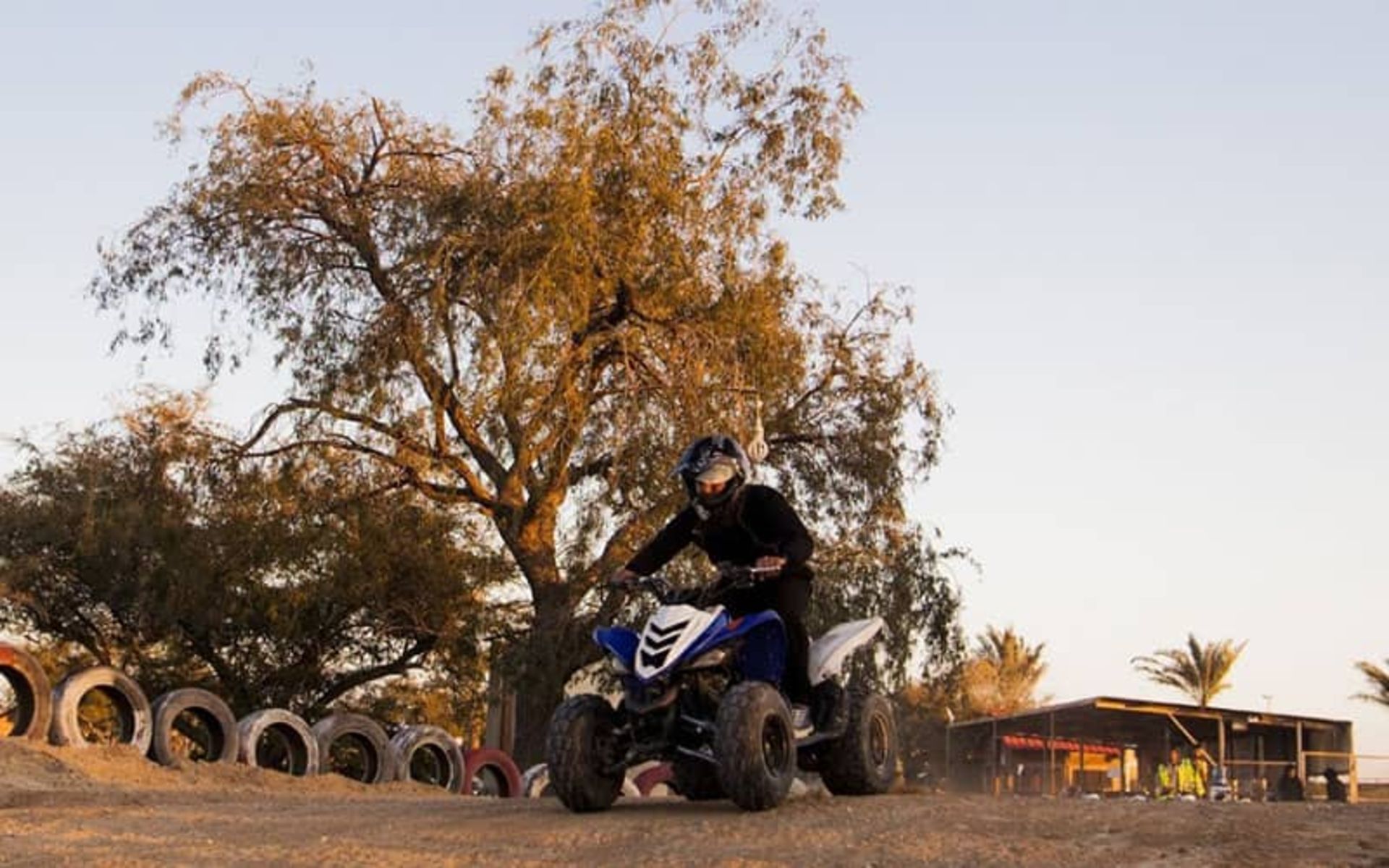 موتور چهارچرخ در کنار درختی بزرگ در کیش