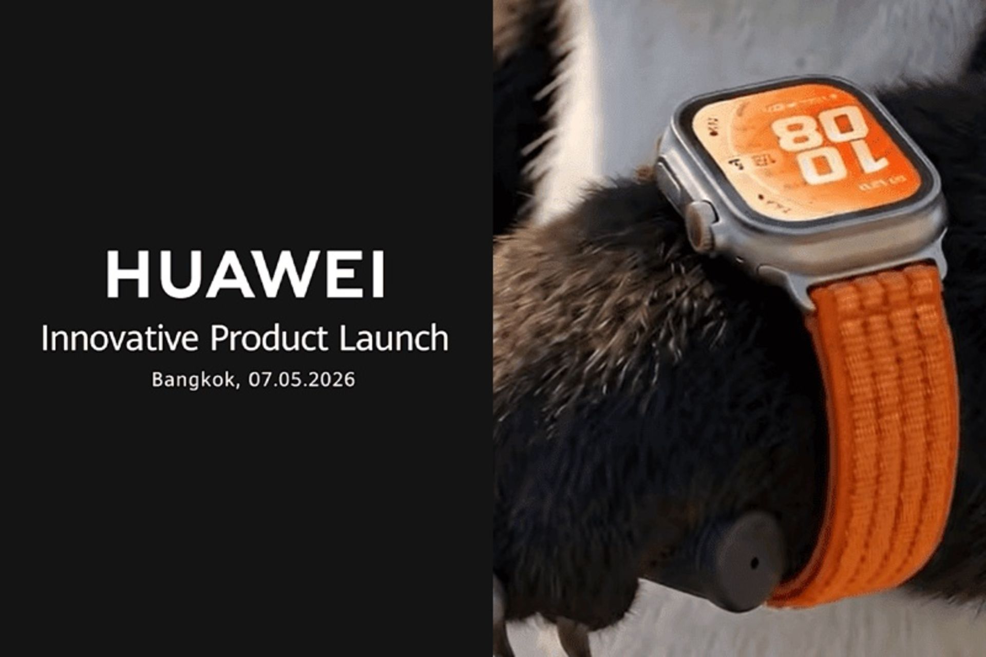 ساعت هوشمند هواوی روی مچ دست پاندا