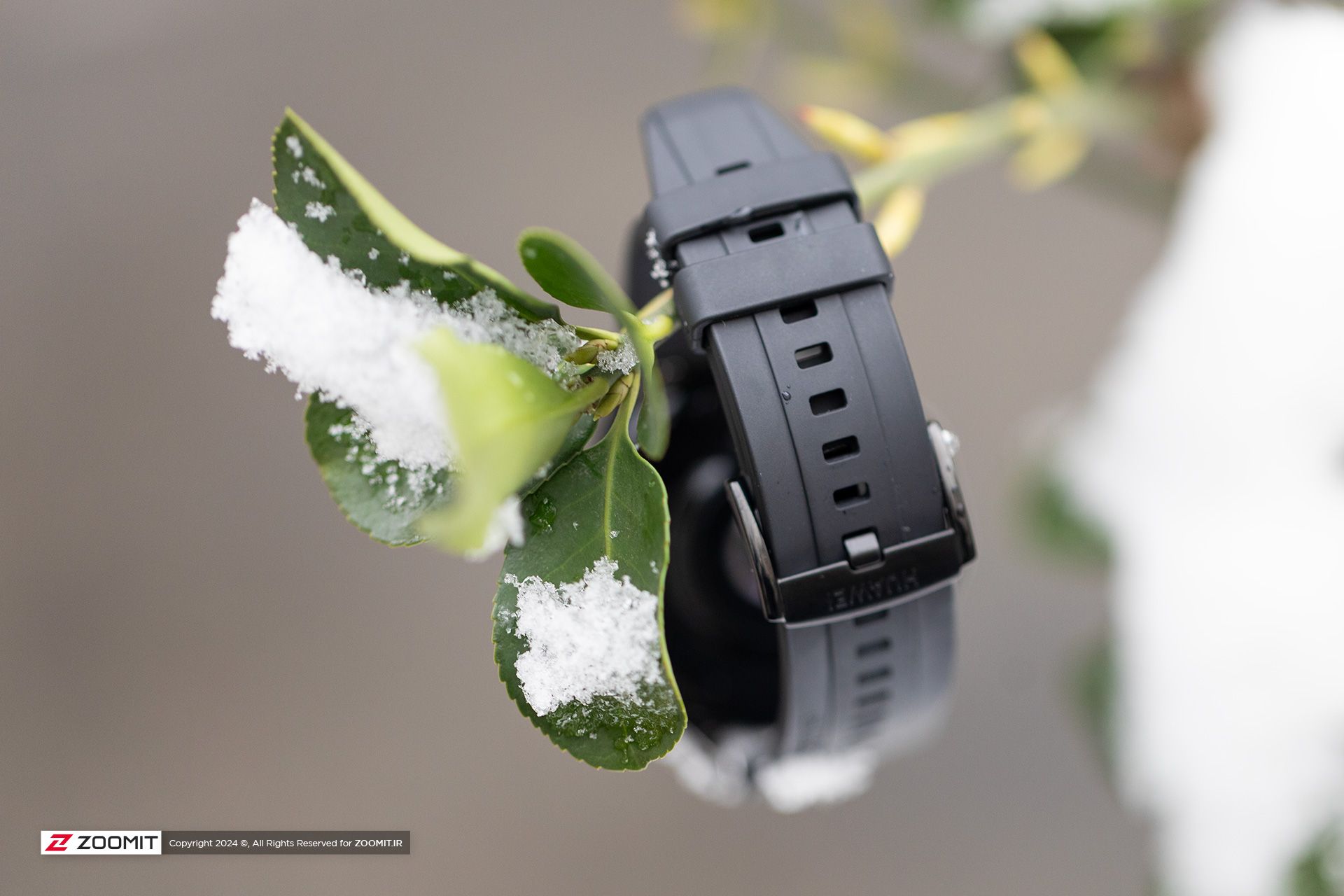 ساعت هوشمند هواوی واچ GT4 روی شاخه درخت در برف