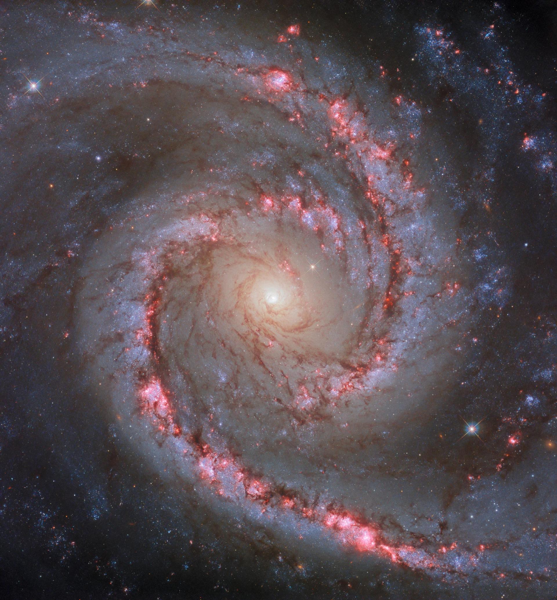 کهکشان NGC 1566