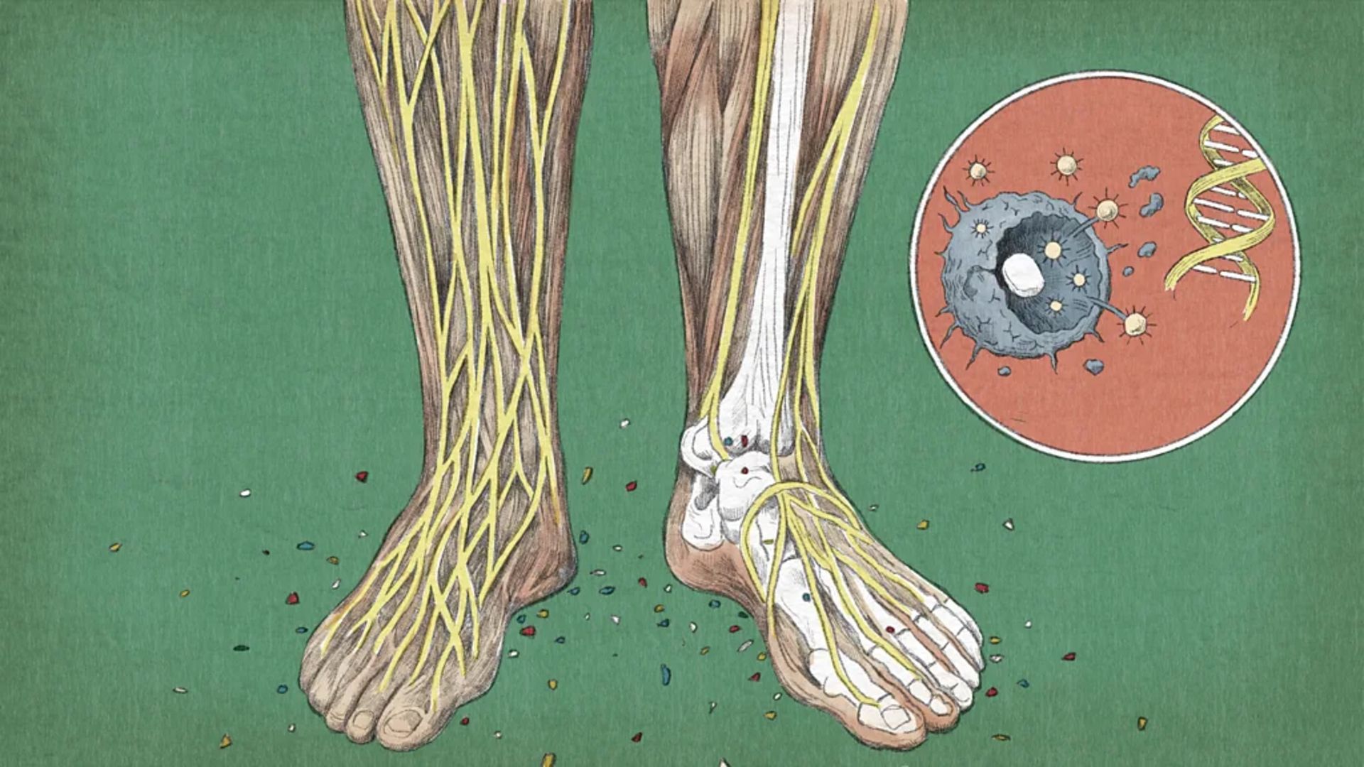 ریز پلاستیک داخل پا