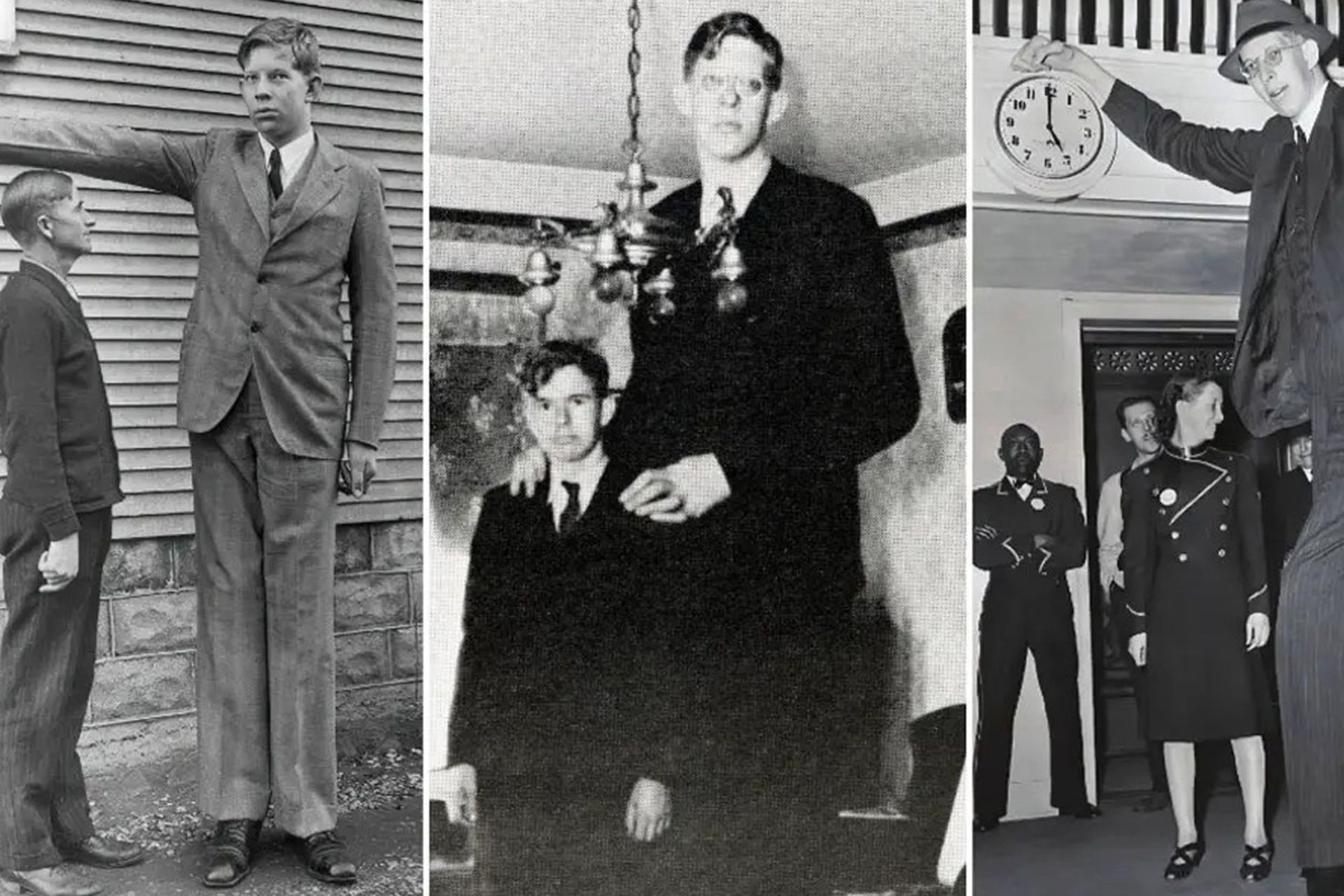 انسان غول‌پیکر، رابرت وادلو