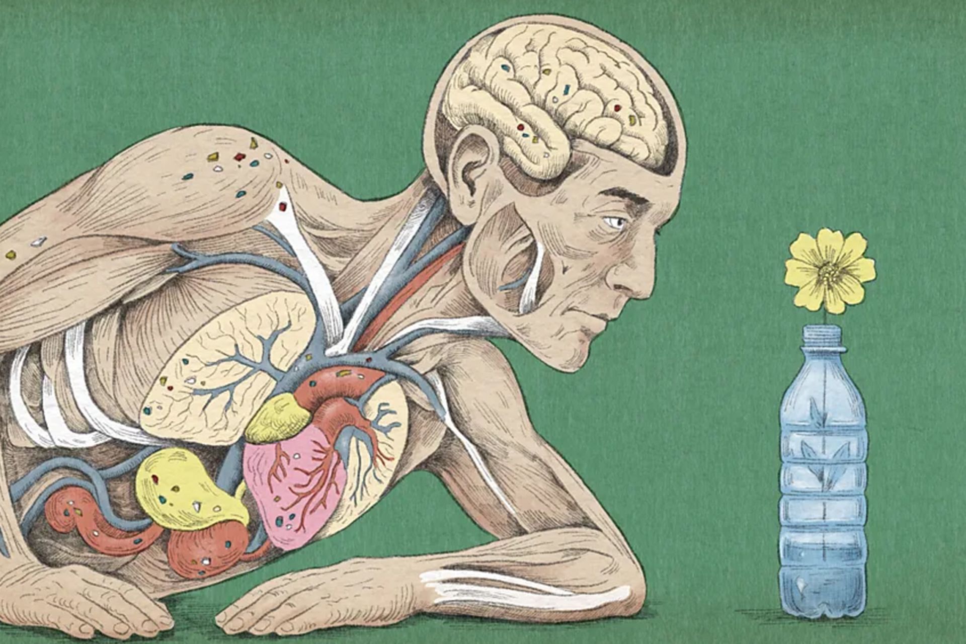 درون بدن انسان