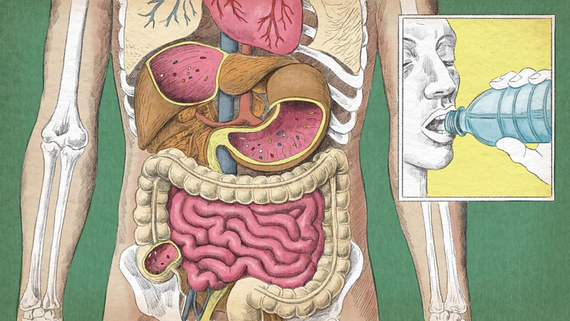 میکروپلاستیک در روده انسان