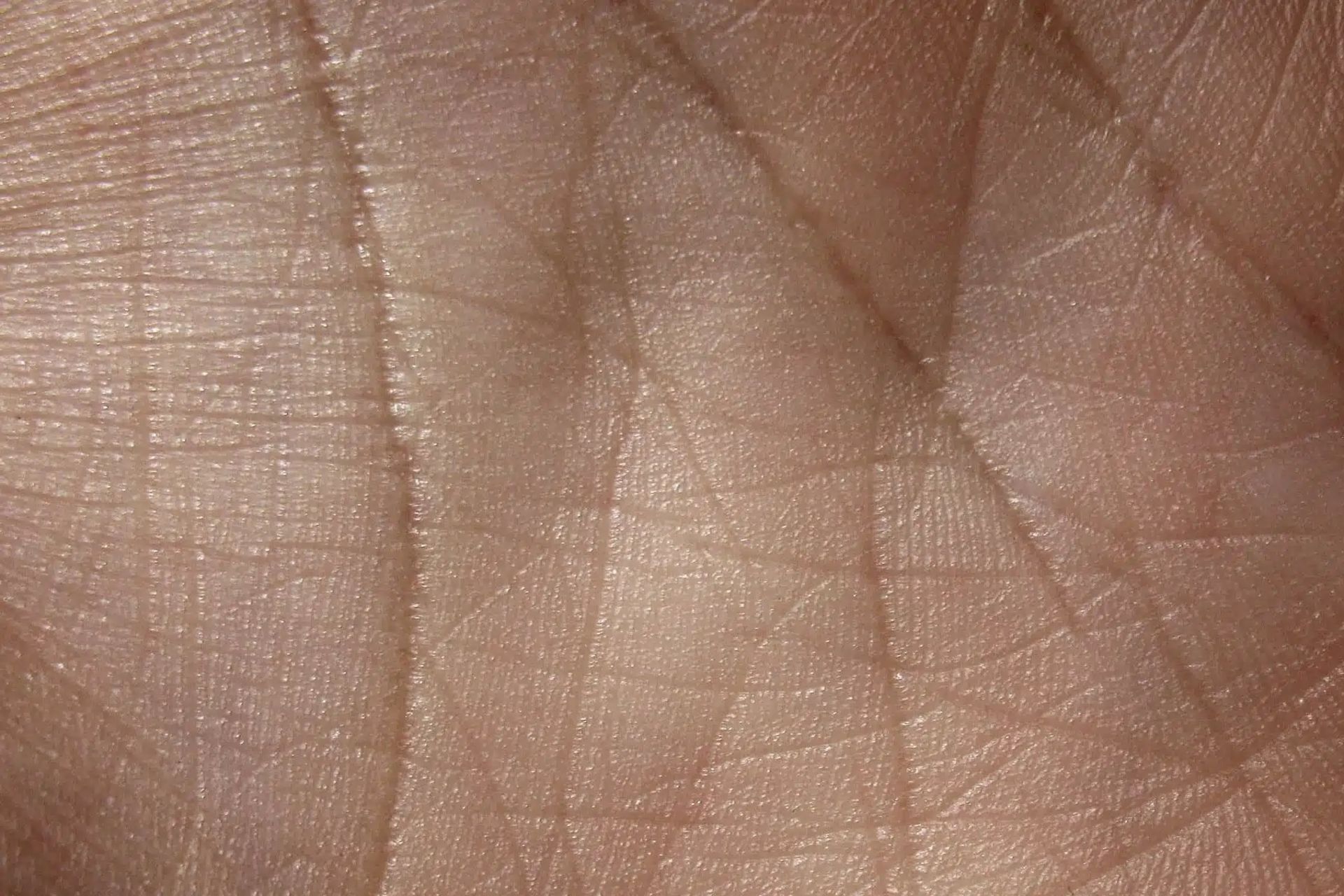 پوست دست انسان