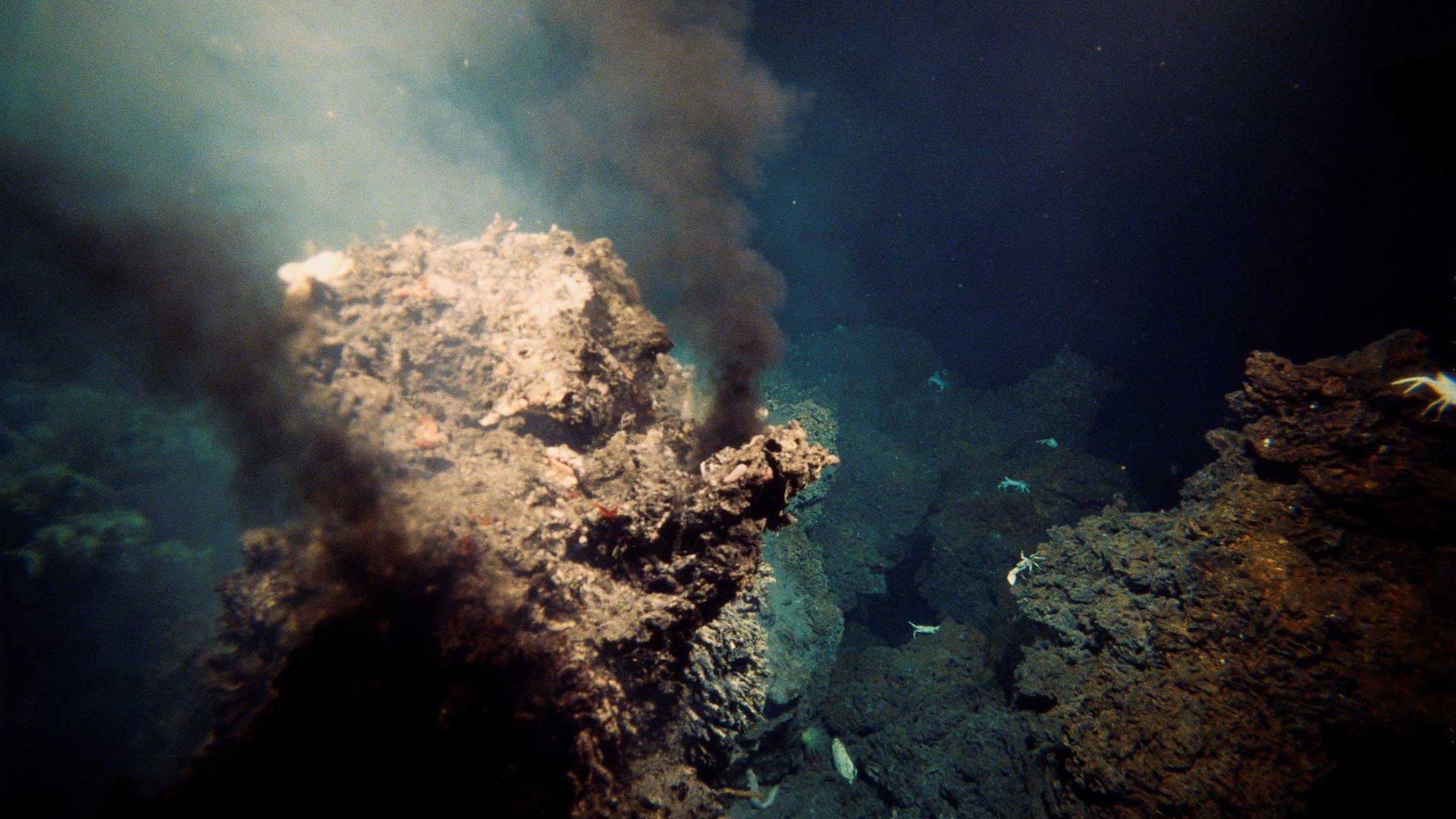 Hydrothermal vents on the ocean floor