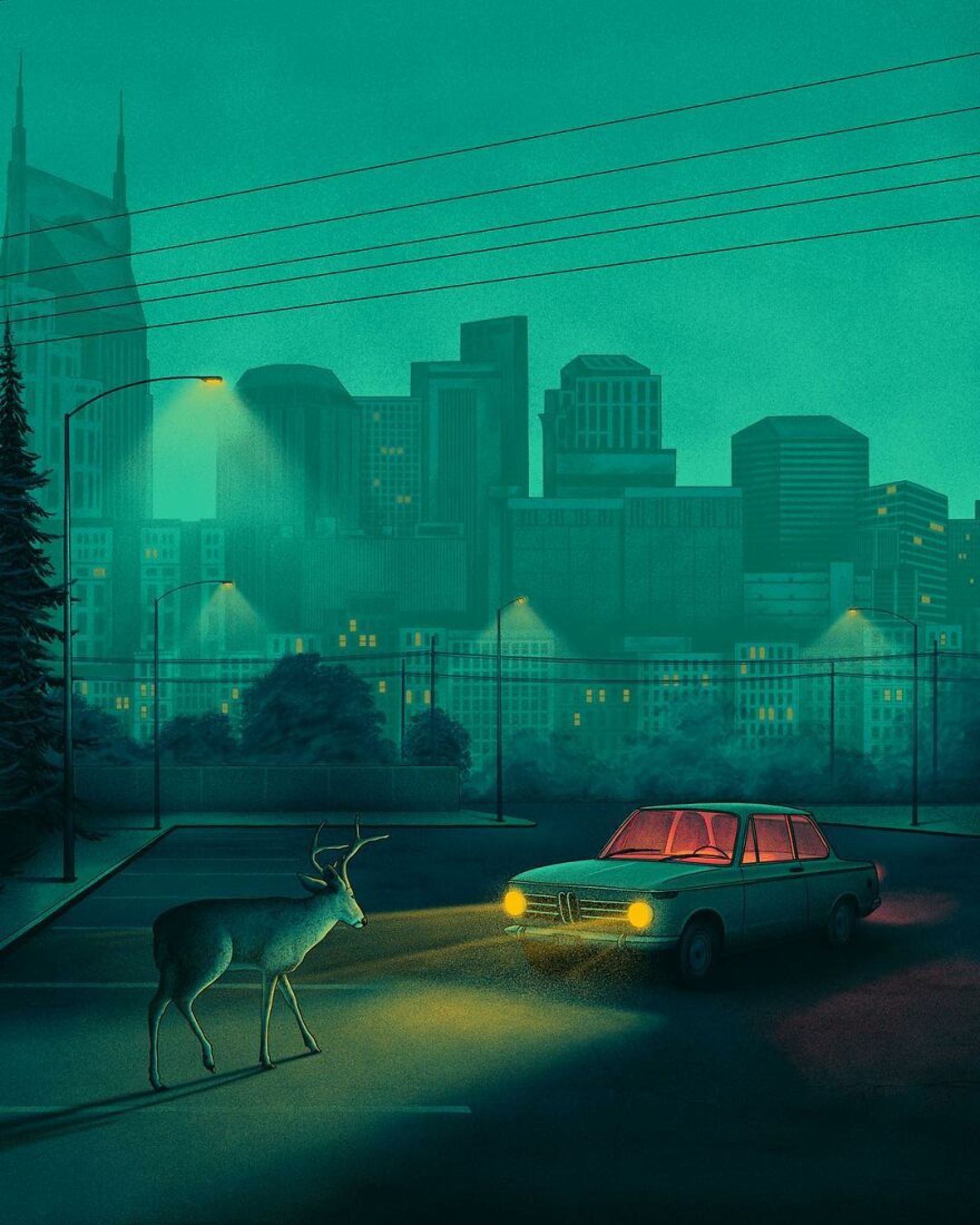 گوزن مقابل اتومبیل روشن در شب