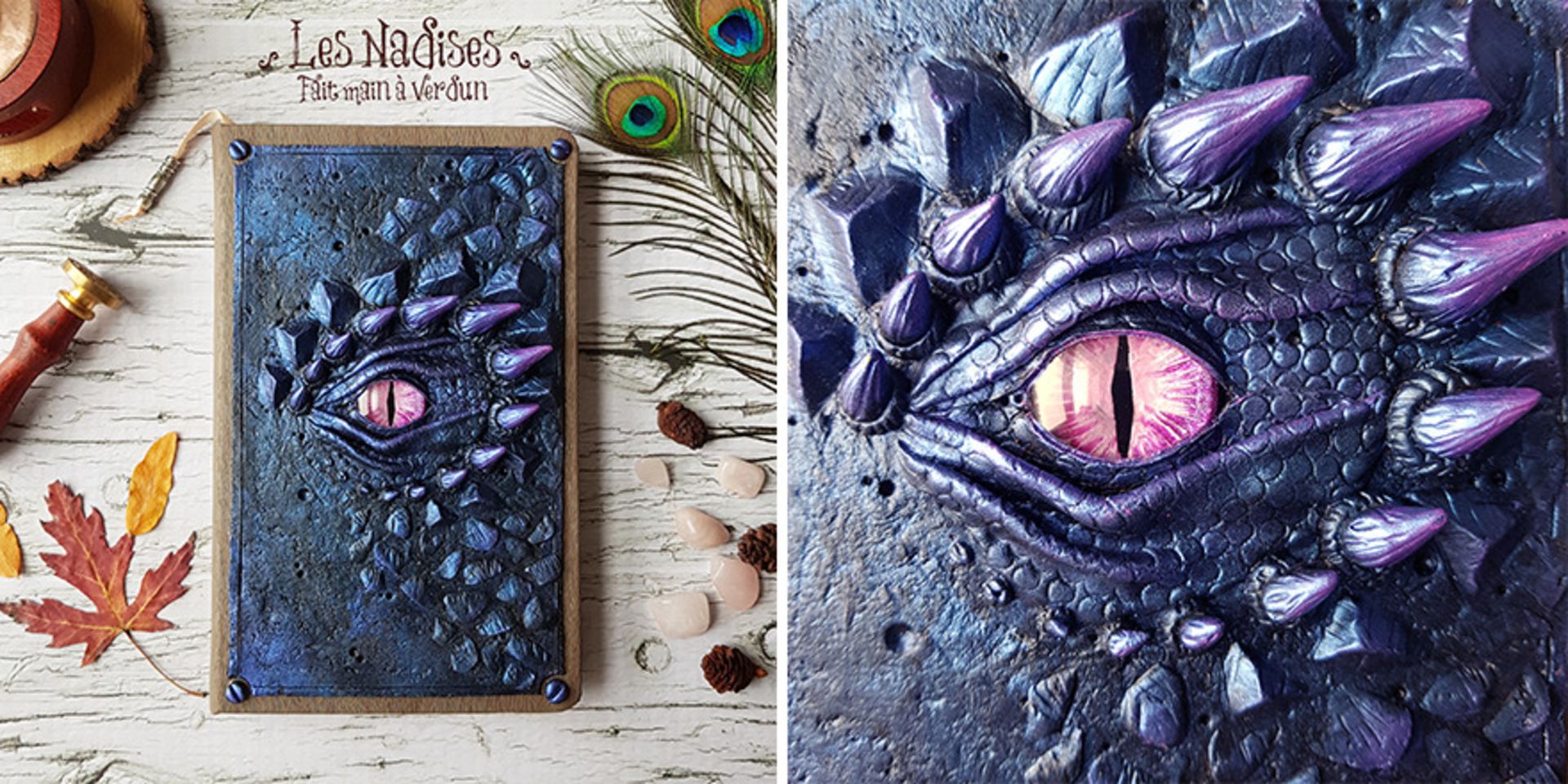 دفتر اژدهای کبود با فلس