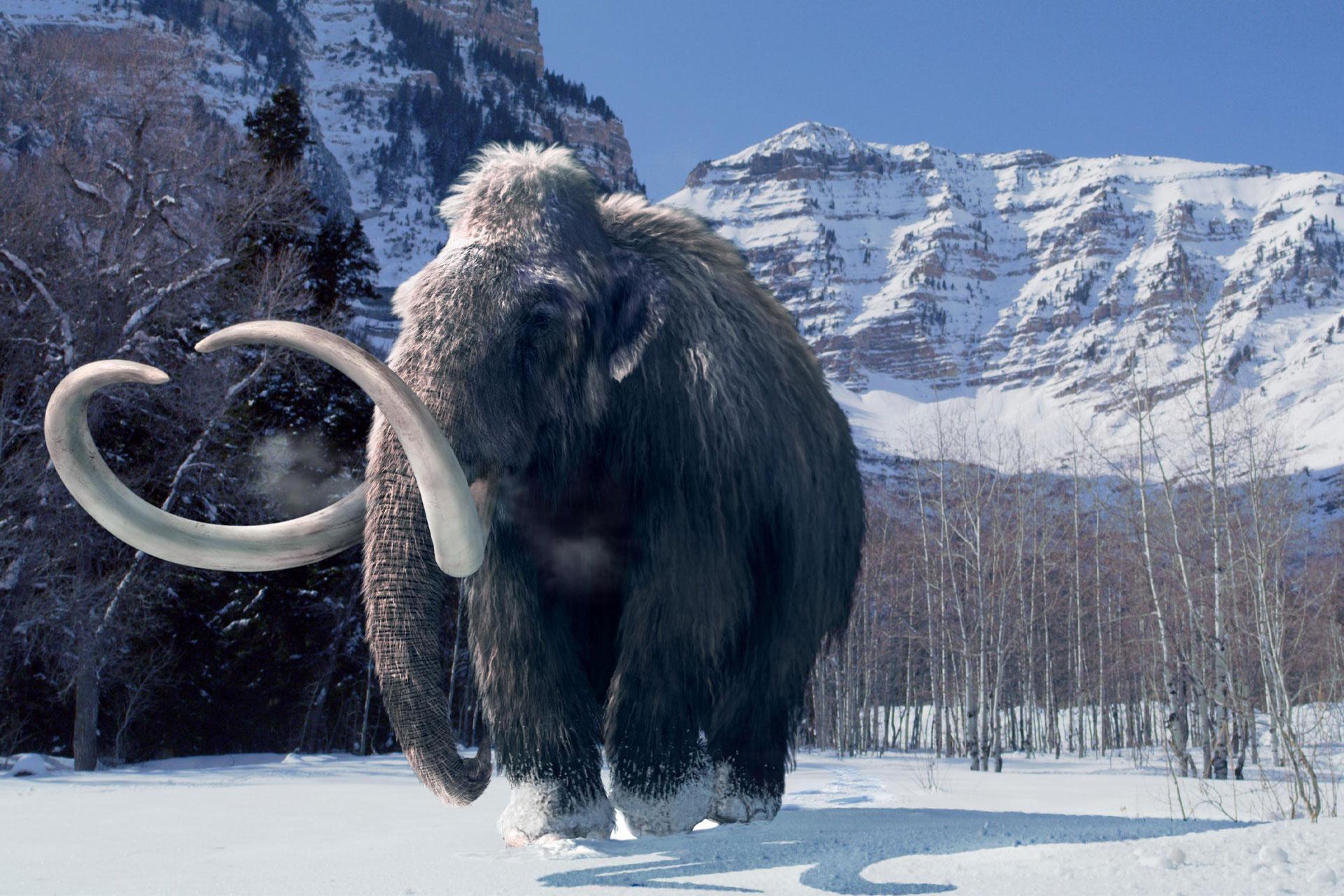 افسانه‌های رایج عصر یخبندان؛ از انقراض دسته‌جمعی تا فرهنگ انسان خردمند