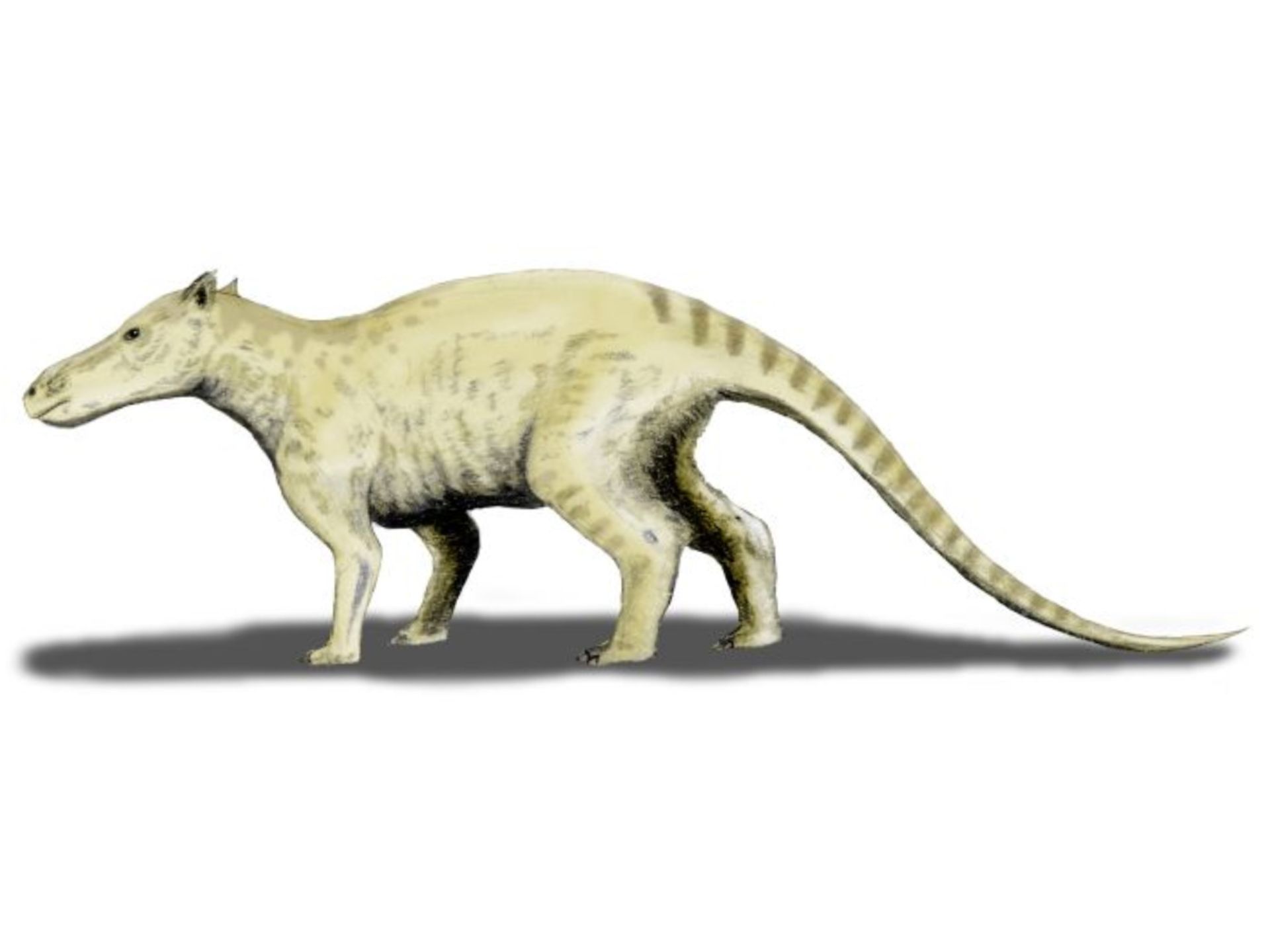 تصویرسازی هنری ایکتیولستس Ichthyolestes pinfoldi