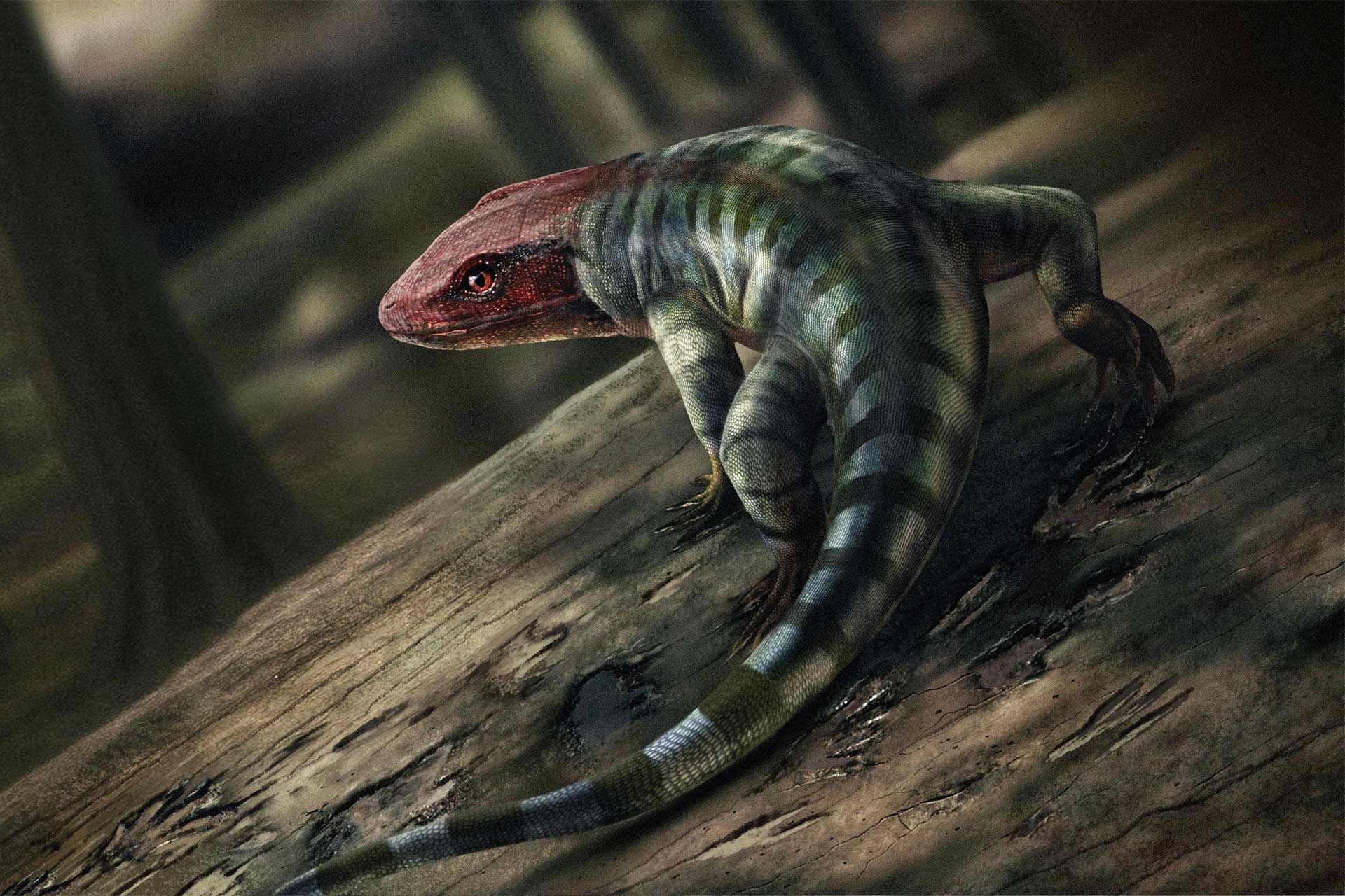 تصویرسازی از جانوری متعلق به گروه آب‌پرده‌داران