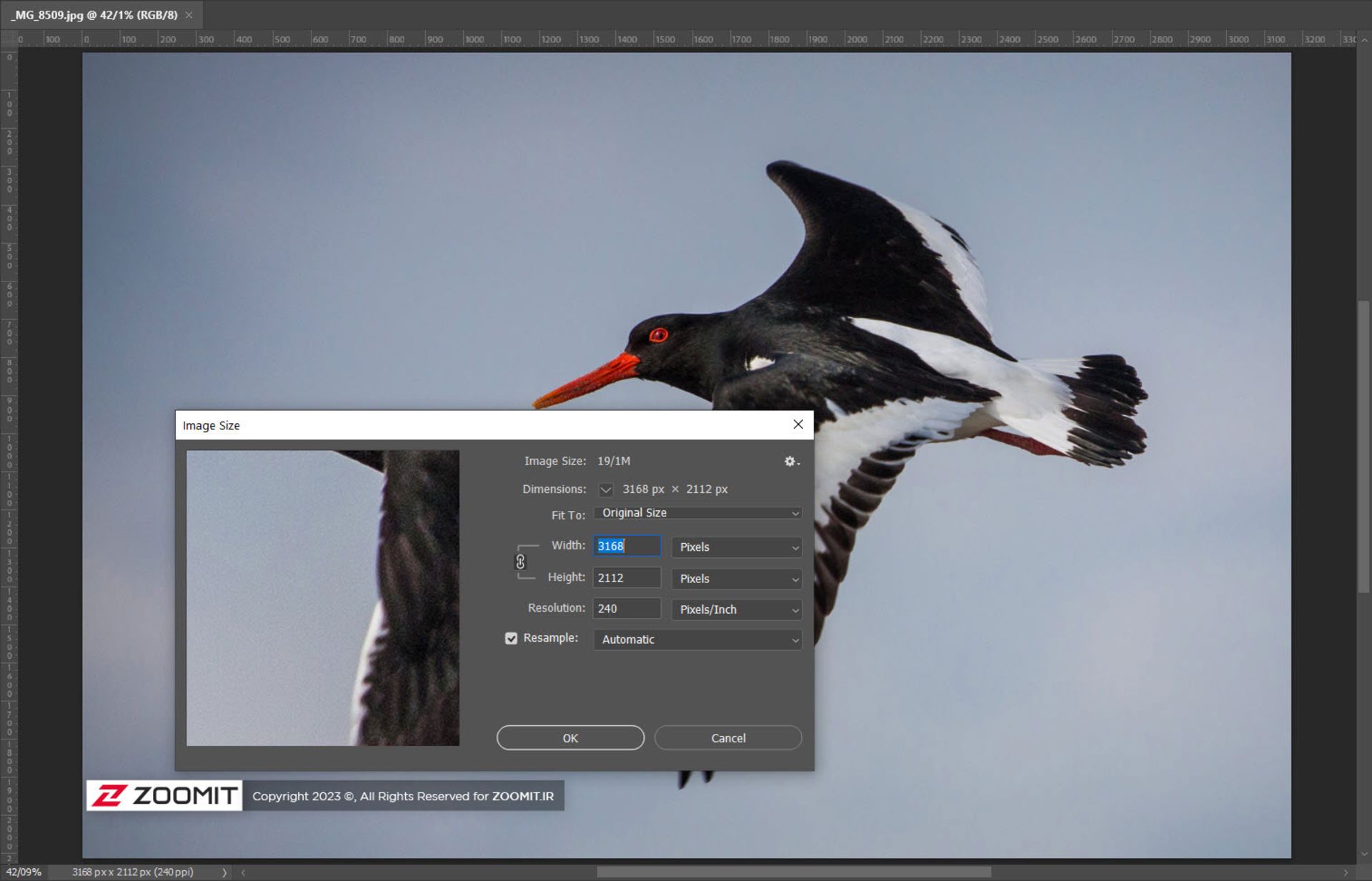 تغییر ابعاد عکس در فتوشاپ