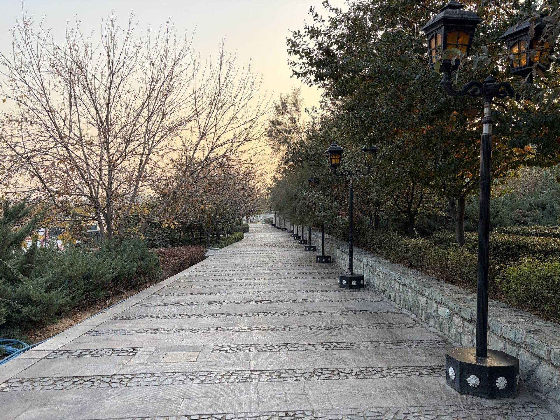 مسیر پیاده‌روی سنگ‌فرش با درختان دو طرف و چراغ‌های خیابانی ردیفی در غروب