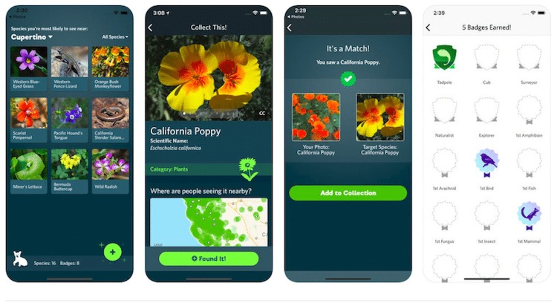 اپلیکیشن iNaturalist Classic