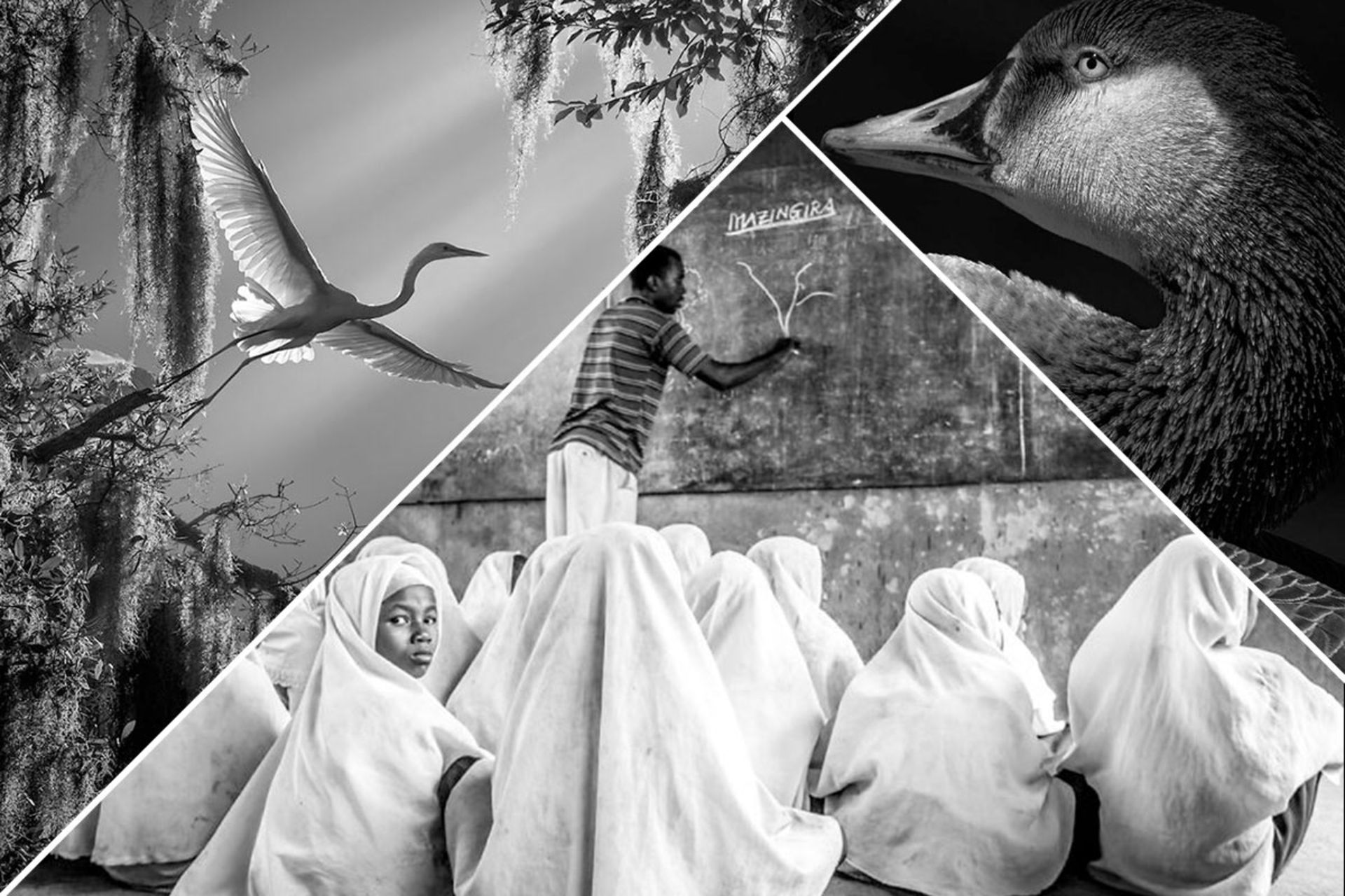 دختران باحجاب یک مدرسه در زنگبار