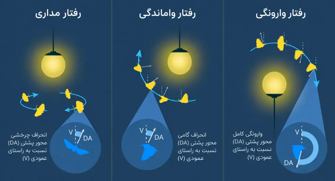 الگوی حرکت حشرات در سه حالت مداری، واماندگی و وارونگی نسبت به منبع نور