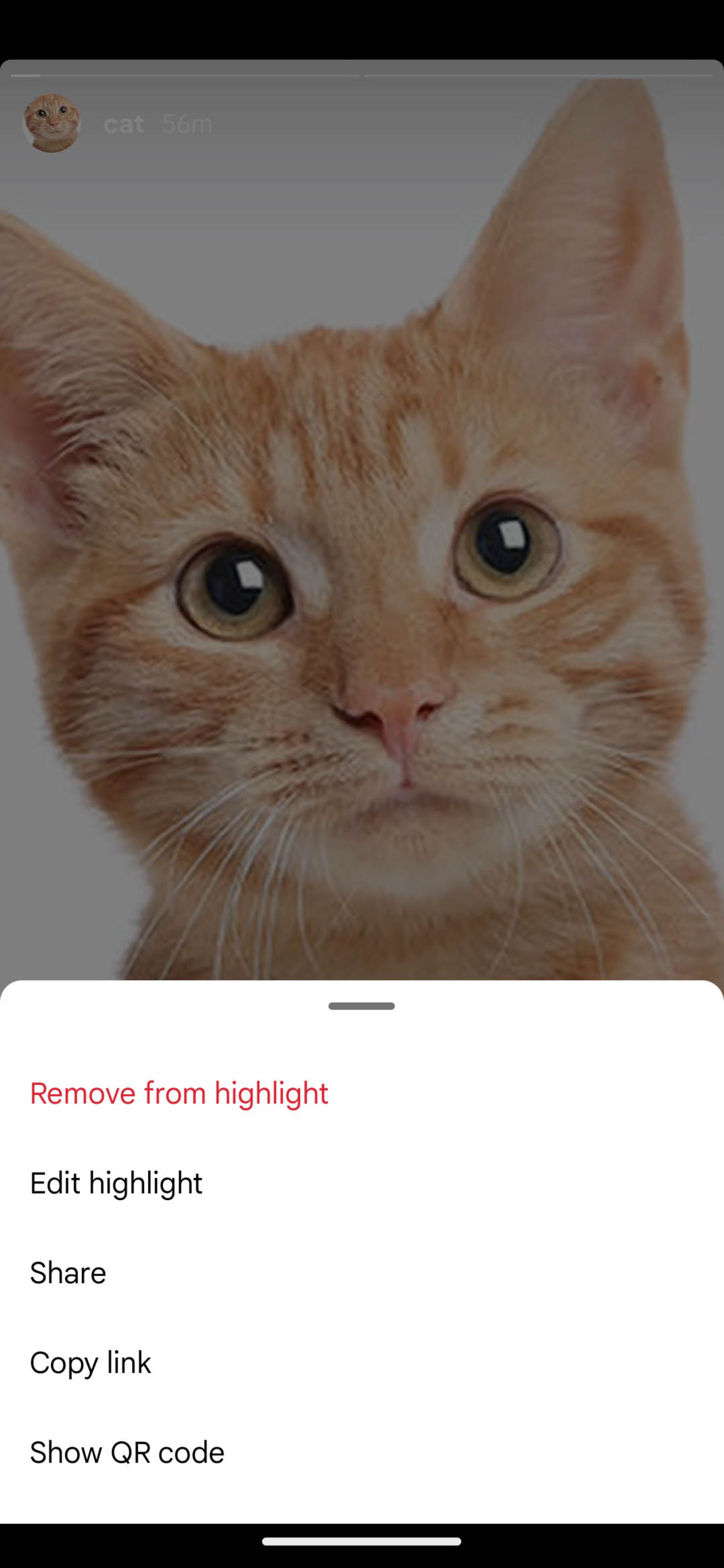 گزینه‌ی حذف استوری از یک هایلایت