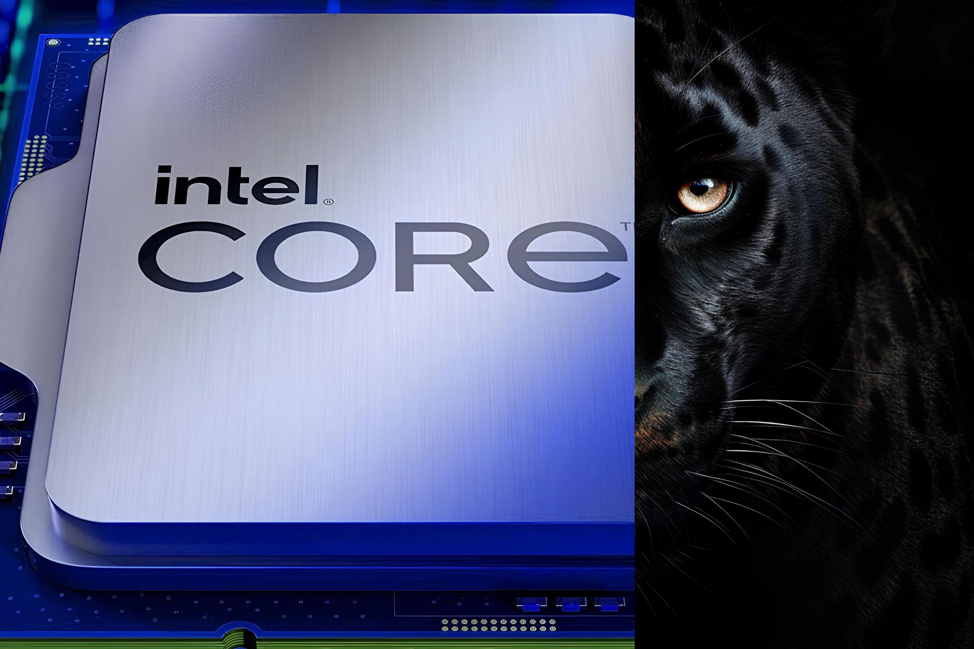 intel panther lake cpu core