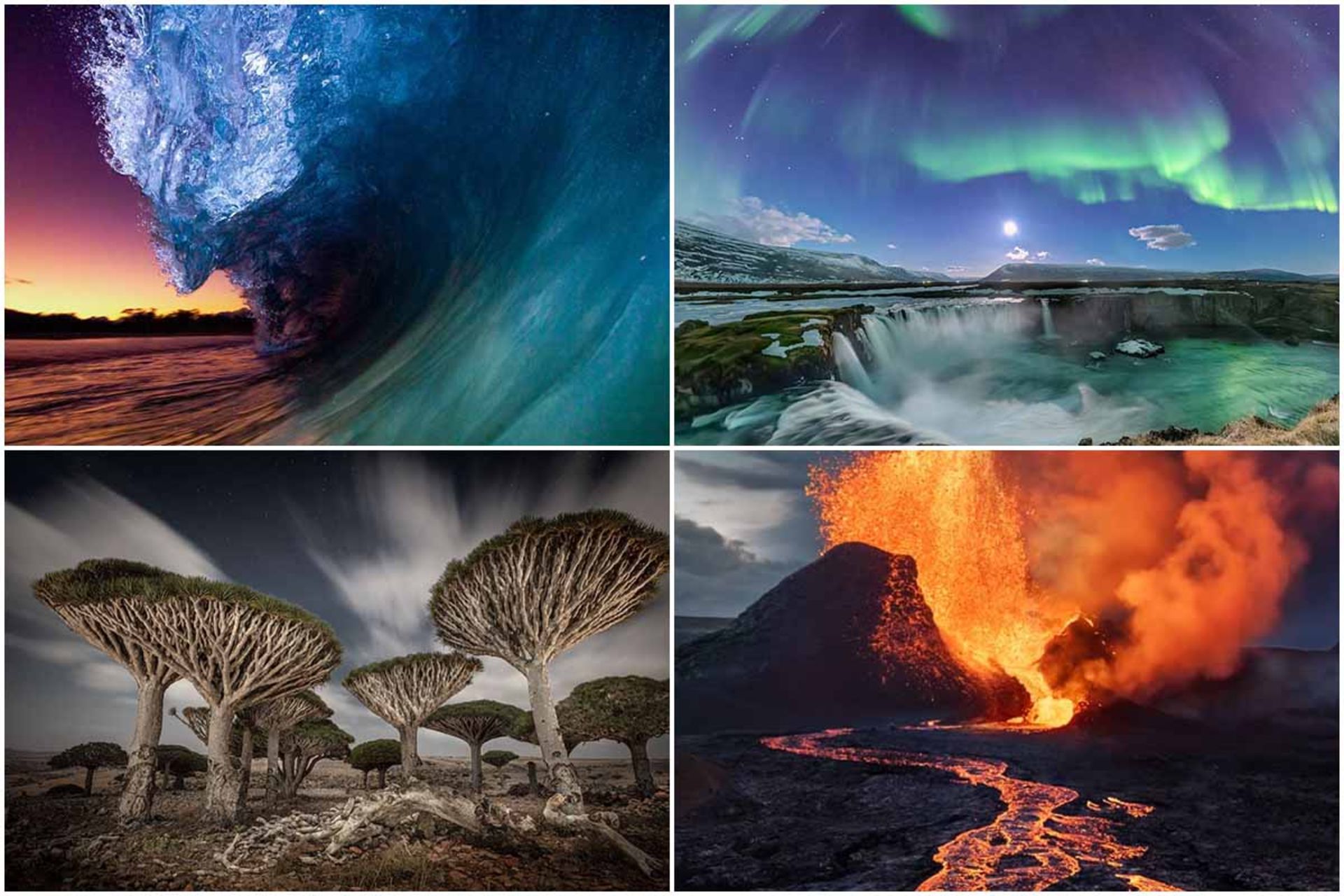 جوایز عکاسی بین‌المللی طبیعت ۲۰۲۳