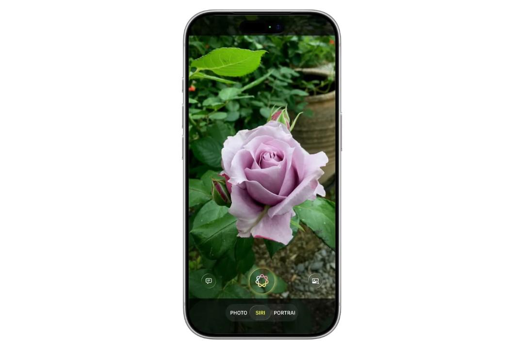 تصاویر لورفته از گالری و دوربین iOS 27 نمایش یک گل صورتی