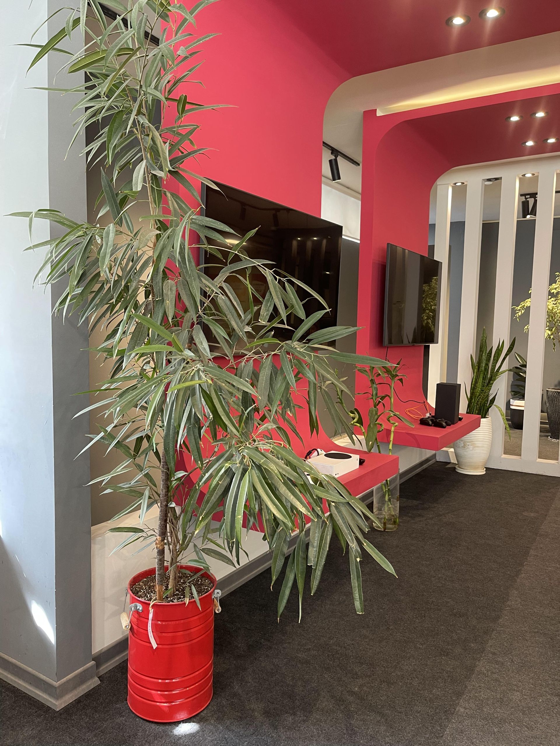 نمونه عکس با دوربین اصلی آیفون ۱۲ پرومکس