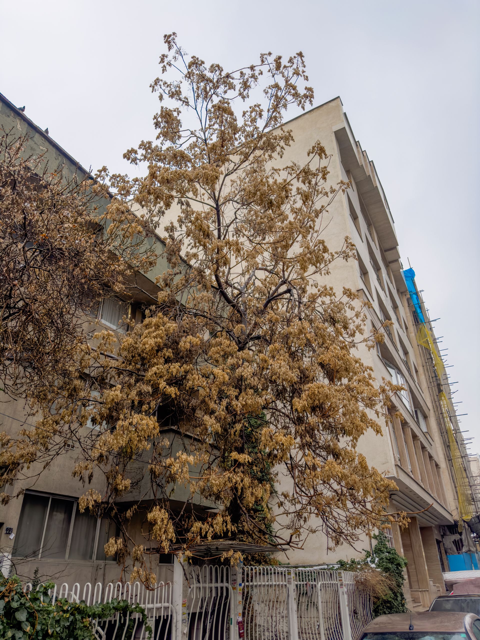 عکس ۴۸ مگاپیکسلی آیفون ۱۴ پرو مکس در مقیاس ۱۲ مگاپیکسل