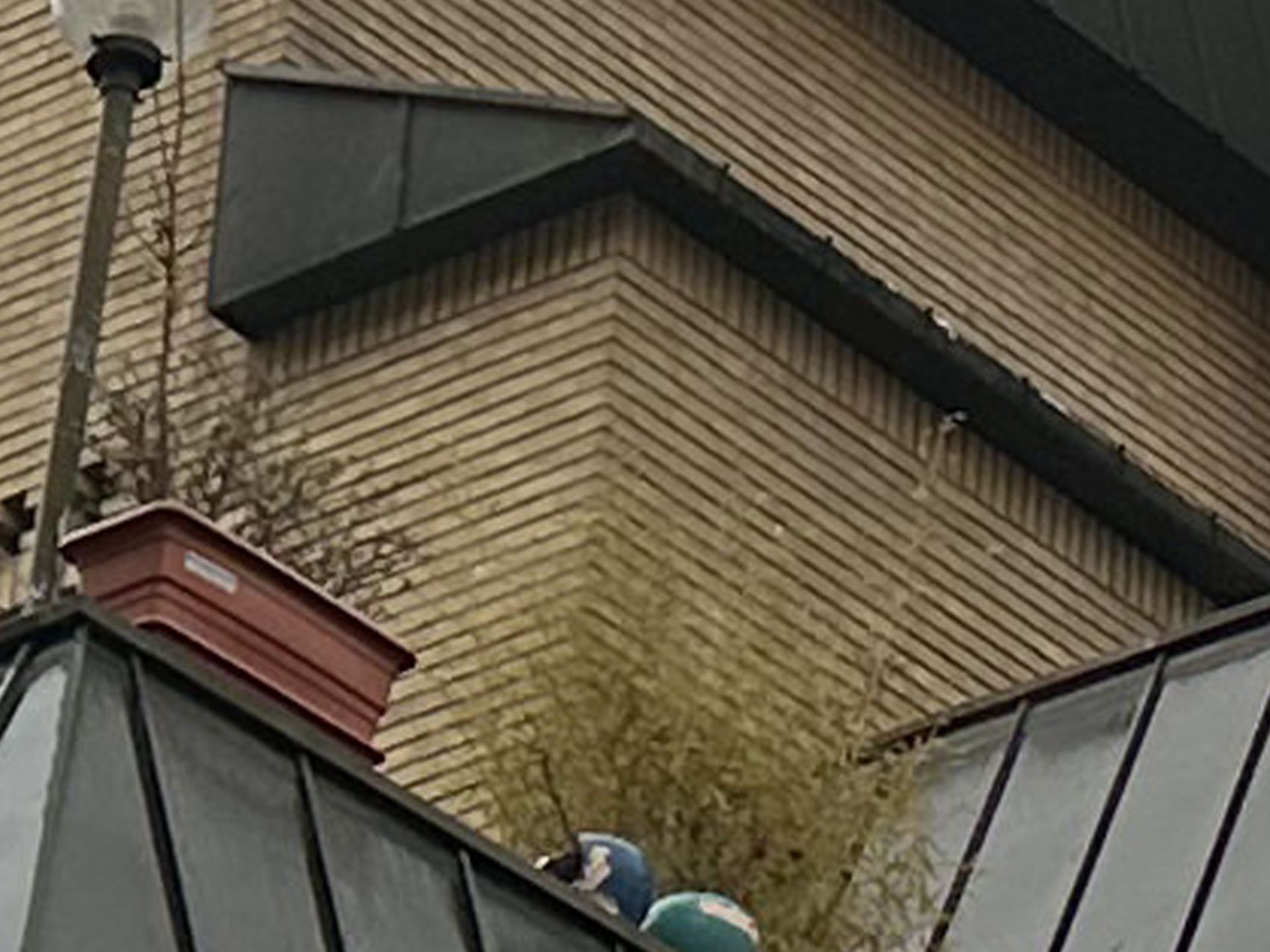 کراپ عکس دوربین اصلی آیفون ۱۴ پرو مکس ‍۱