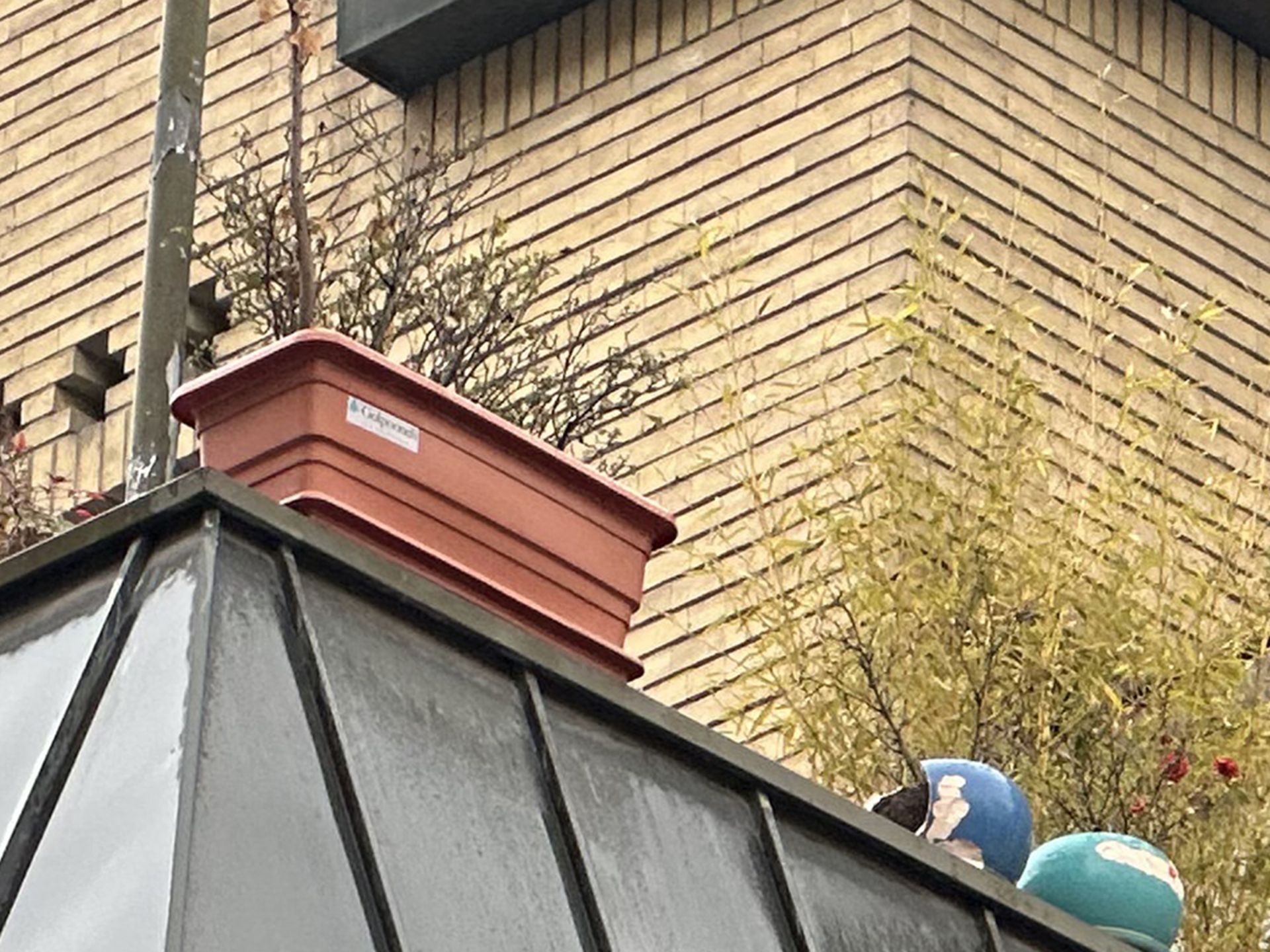 برش عکس تله‌فوتوی آیفون ۱۴ پرو مکس ۱