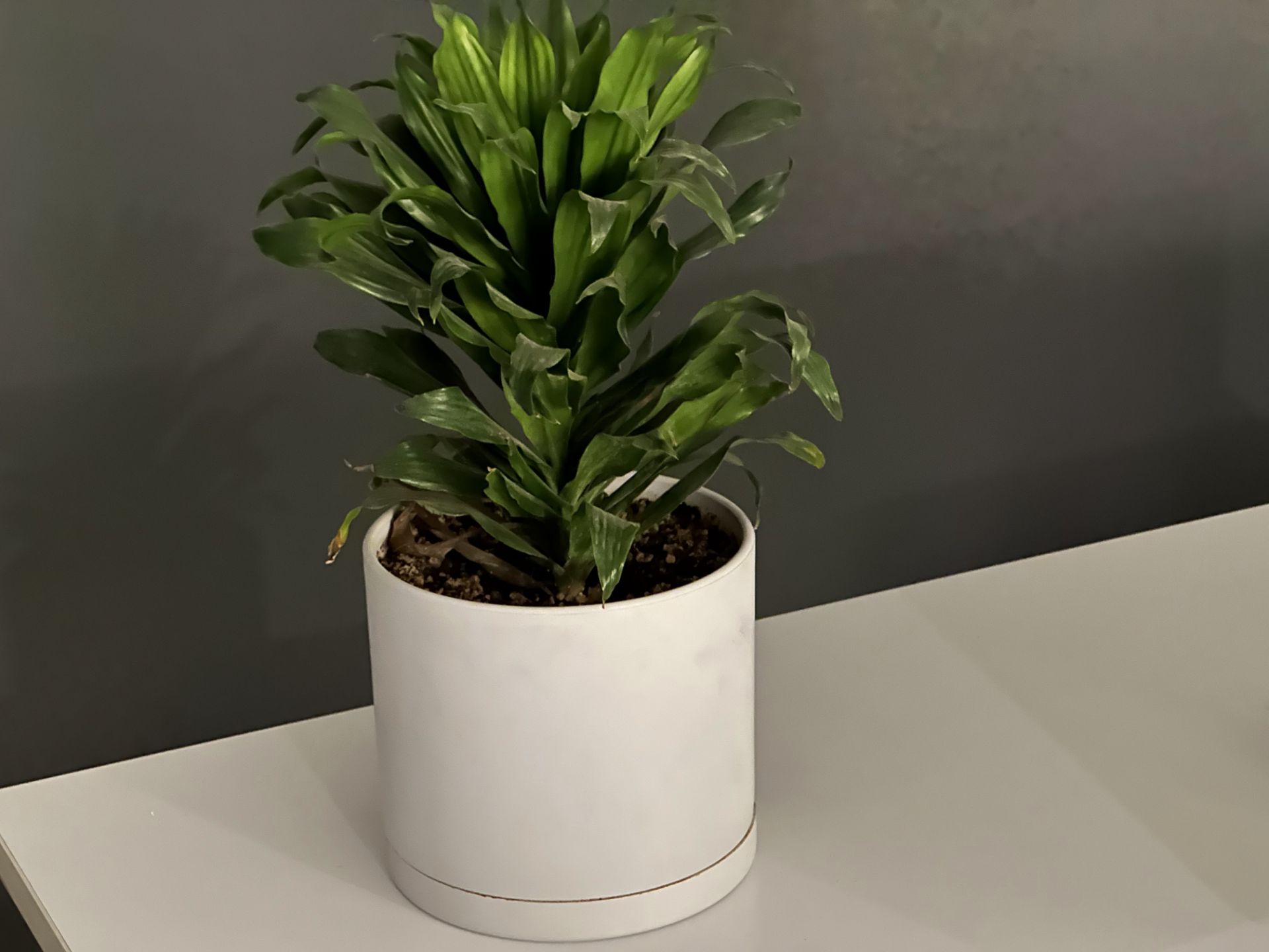 عکس ۳ برابری آیفون ۱۴ پرو مکس در تاریکی ۳