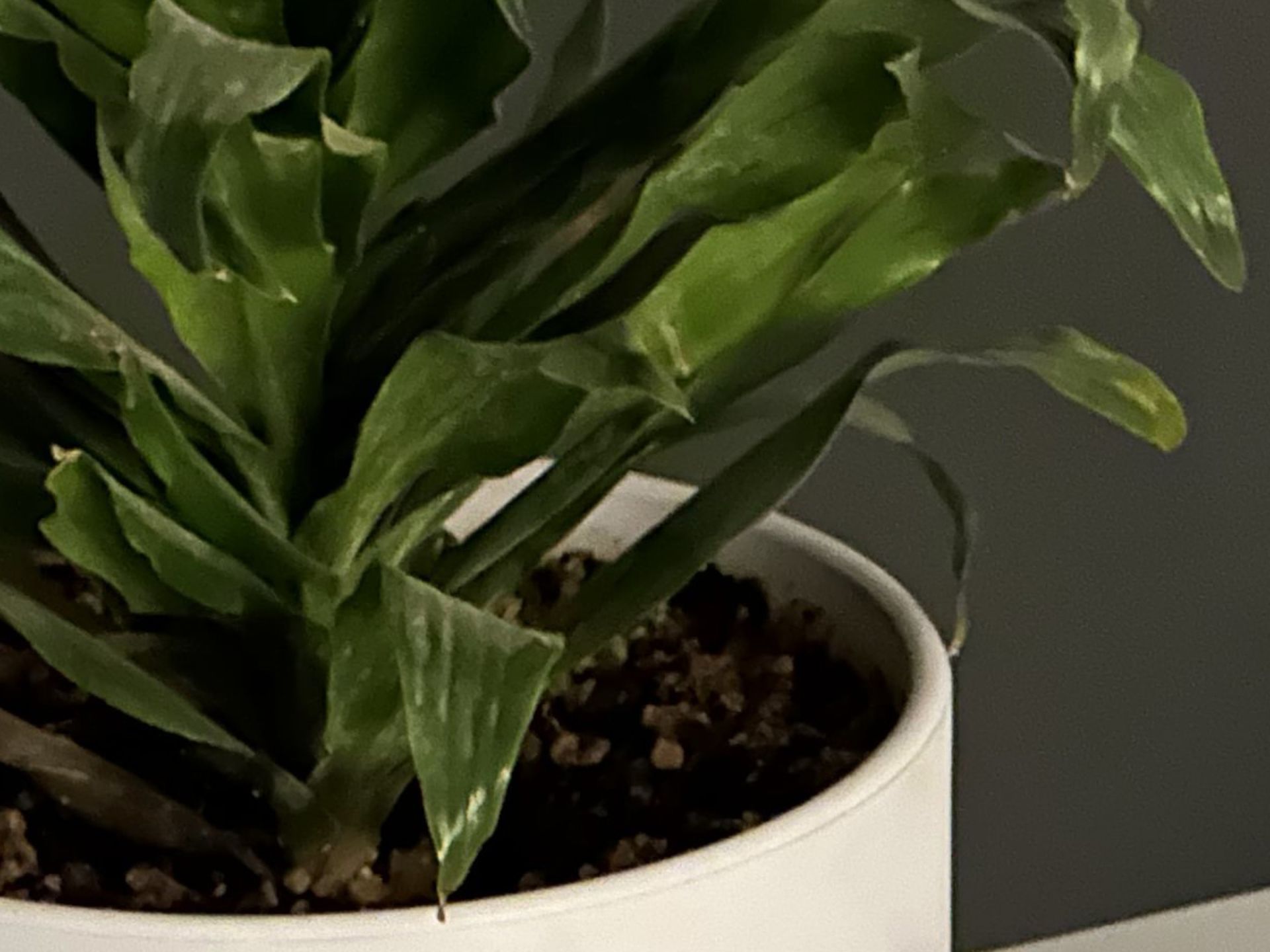 برش عکس ۳ برابری آیفون ۱۴ پرو مکس در تاریکی ۳