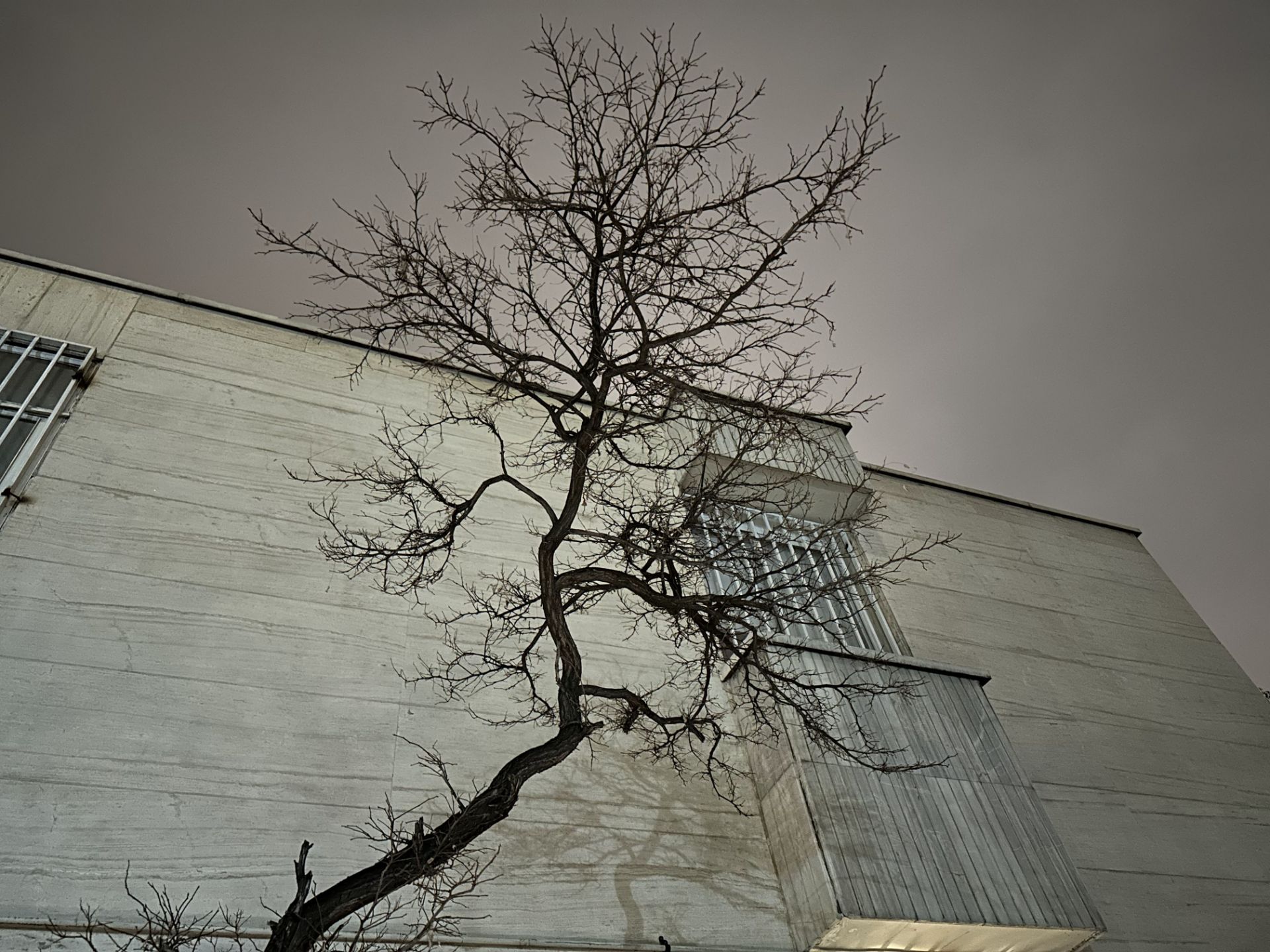 عکس دوربین اصلی آیفون ۱۴ پرو مکس در تاریکی ۲