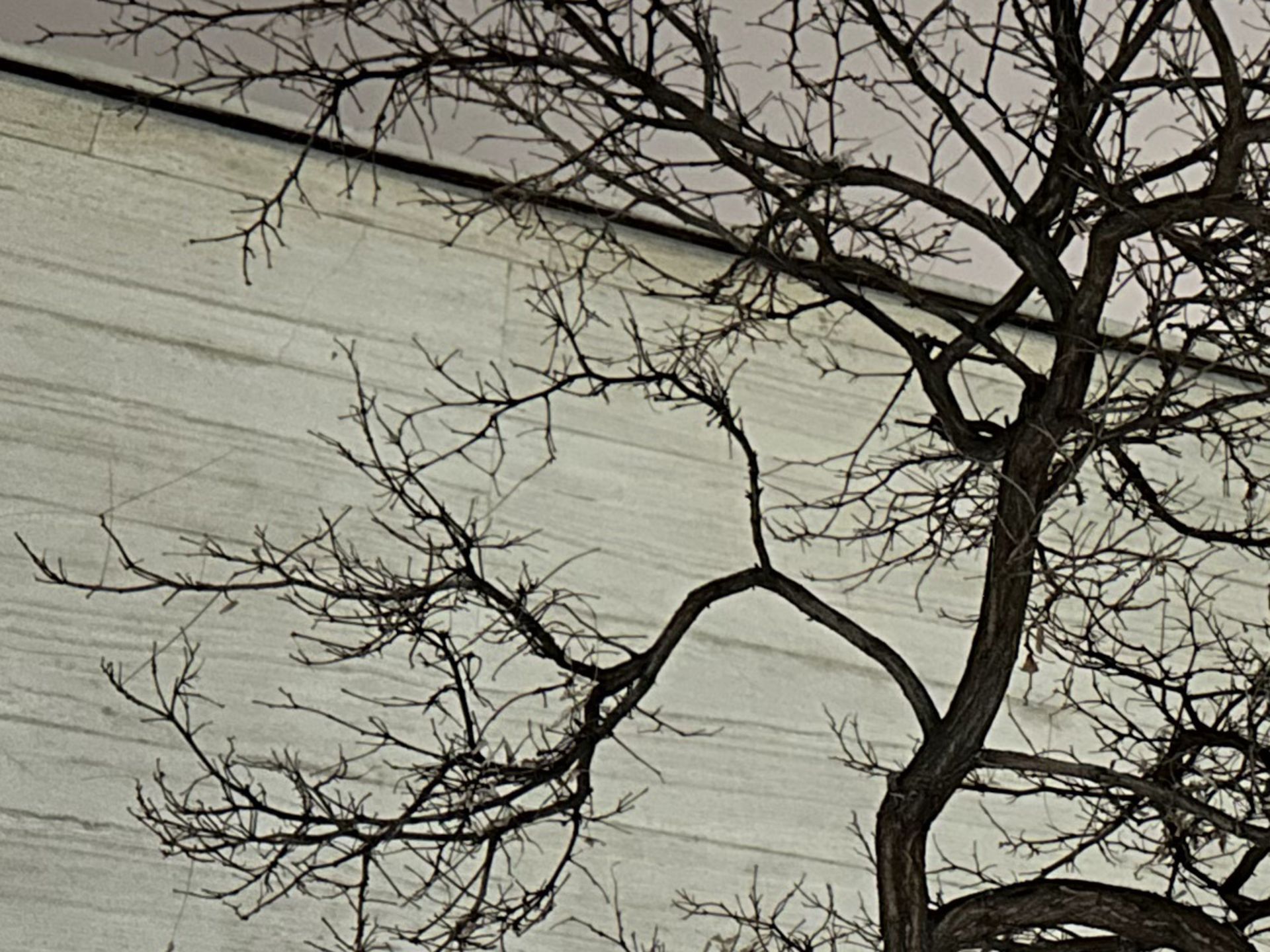 برش عکس آیفون ۱۴ پرو مکس در تاریکی ۲